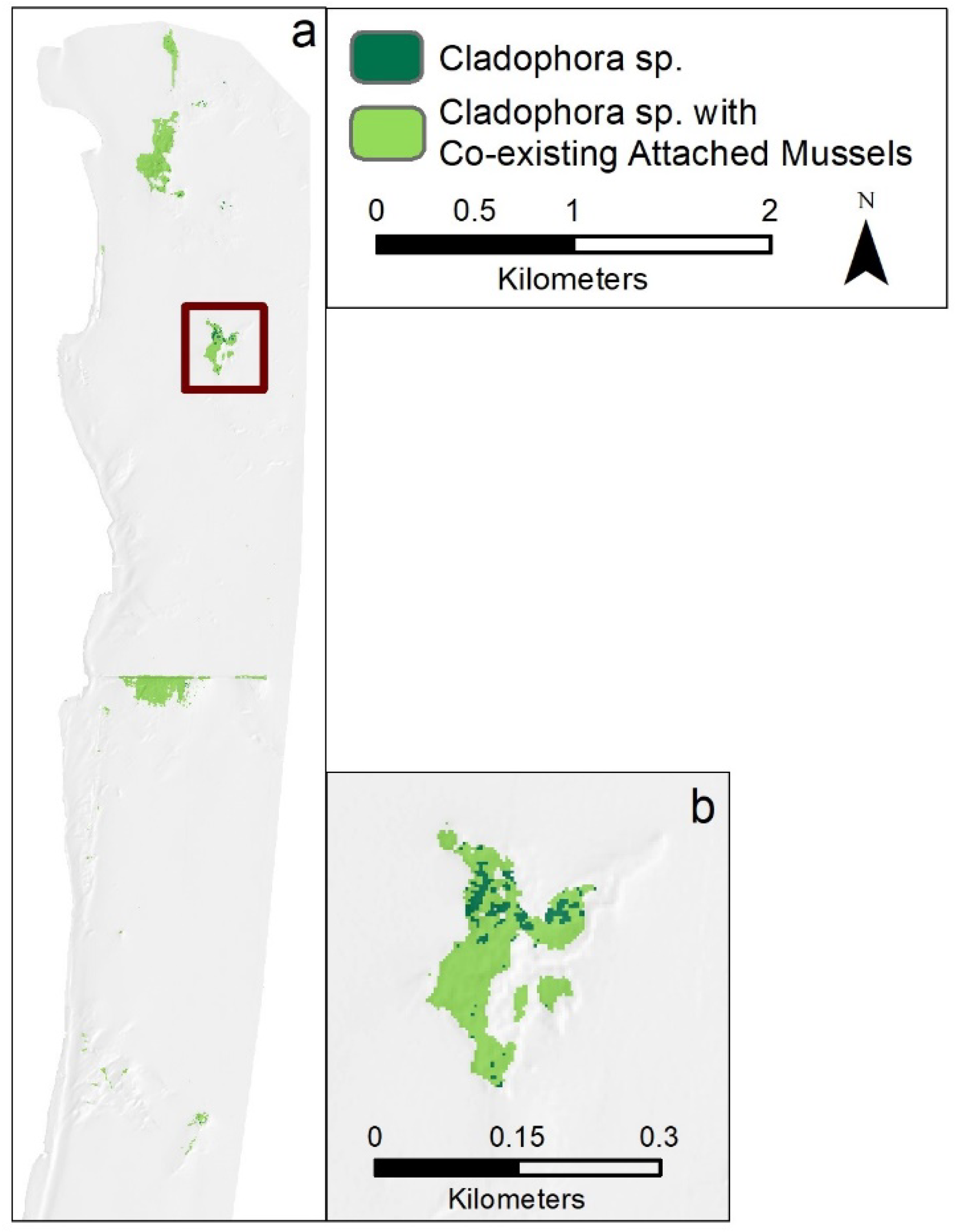 Remotesensing 13 03026 g020