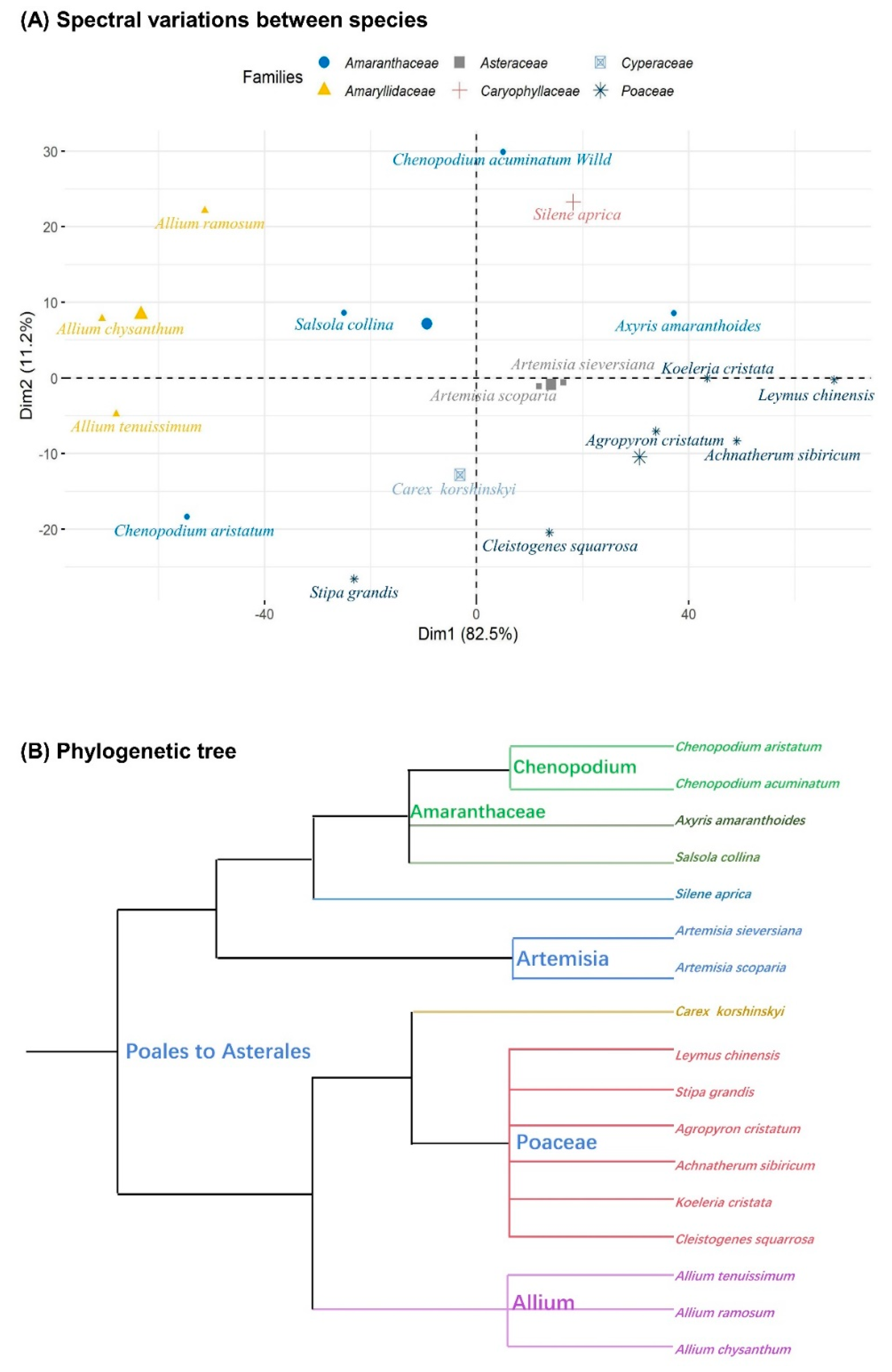 Remotesensing 13 03034 g003