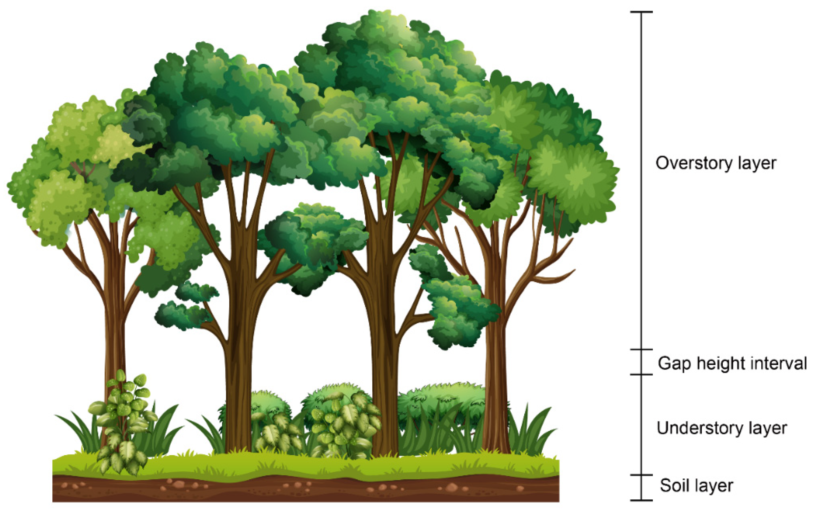 Remotesensing 13 03036 g001