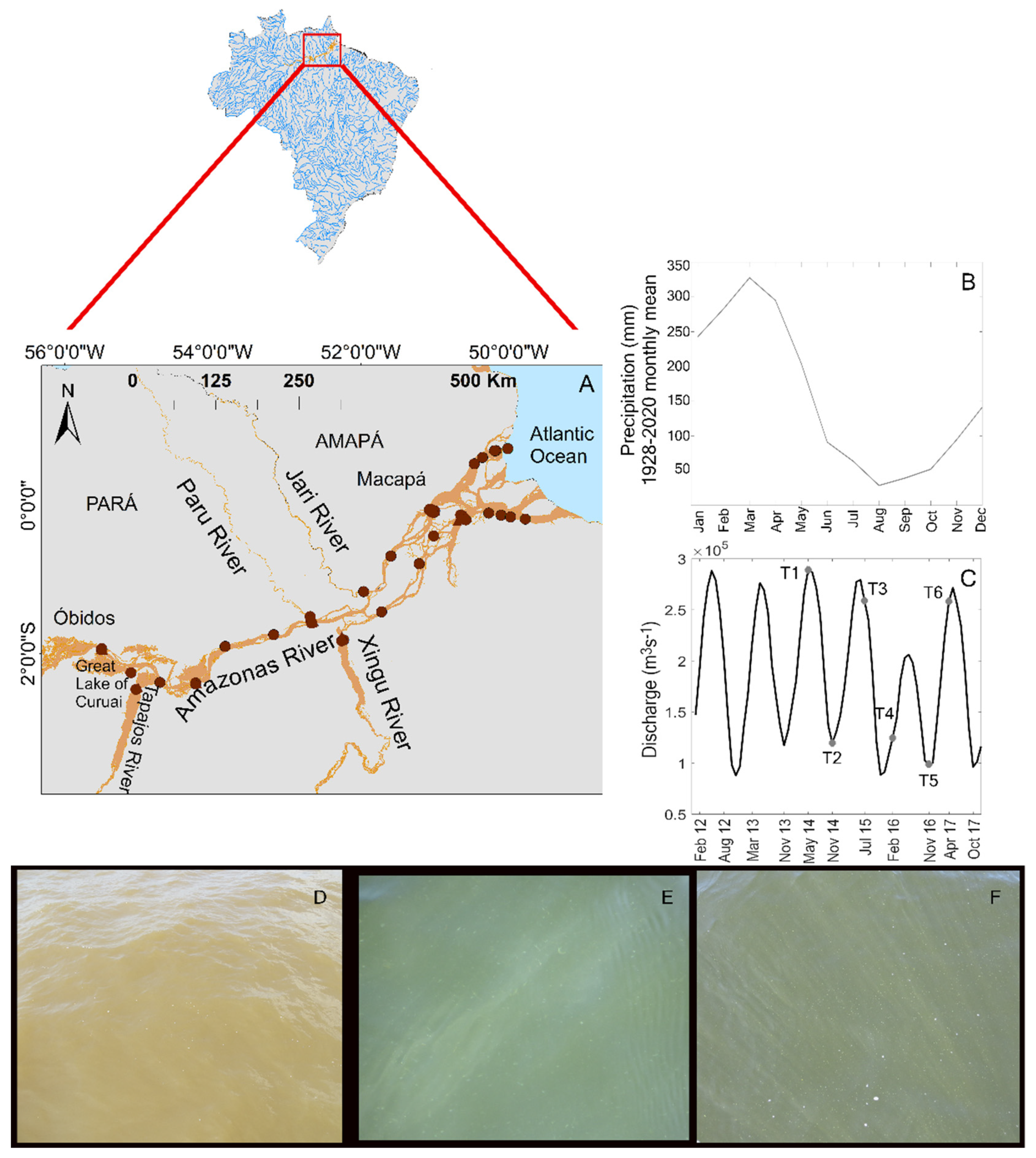 Remotesensing 13 03057 g001