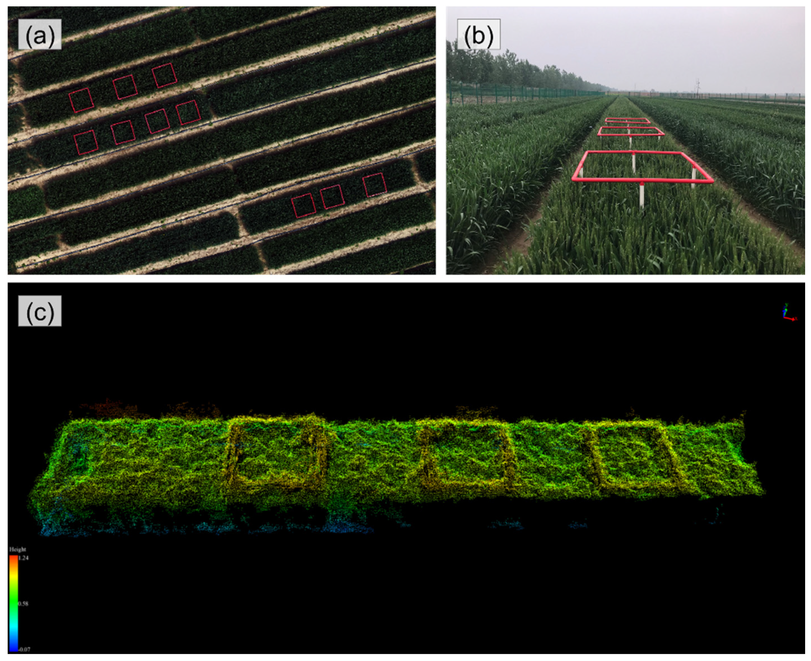 Remotesensing 13 03067 g003