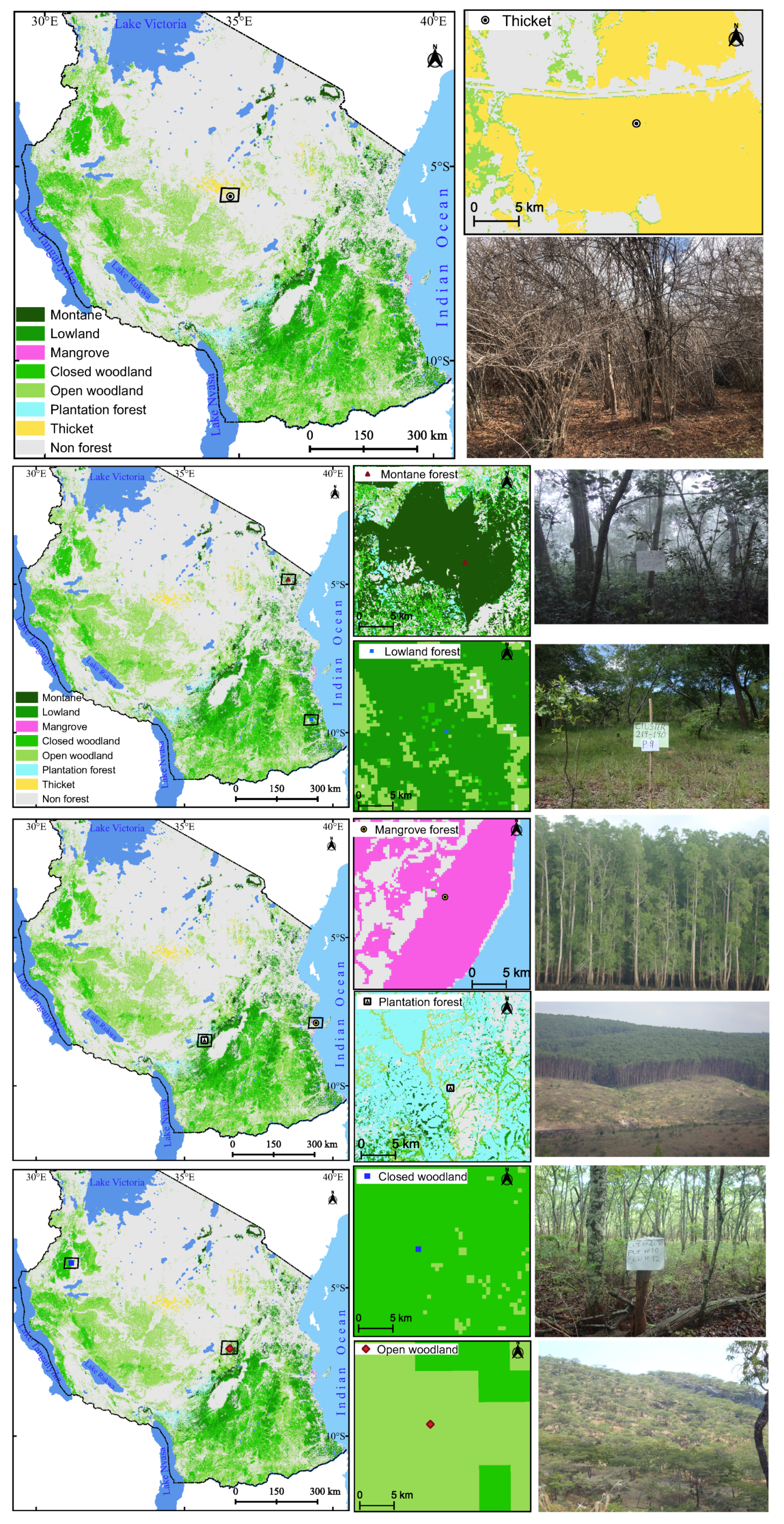 Remotesensing 13 03081 g006