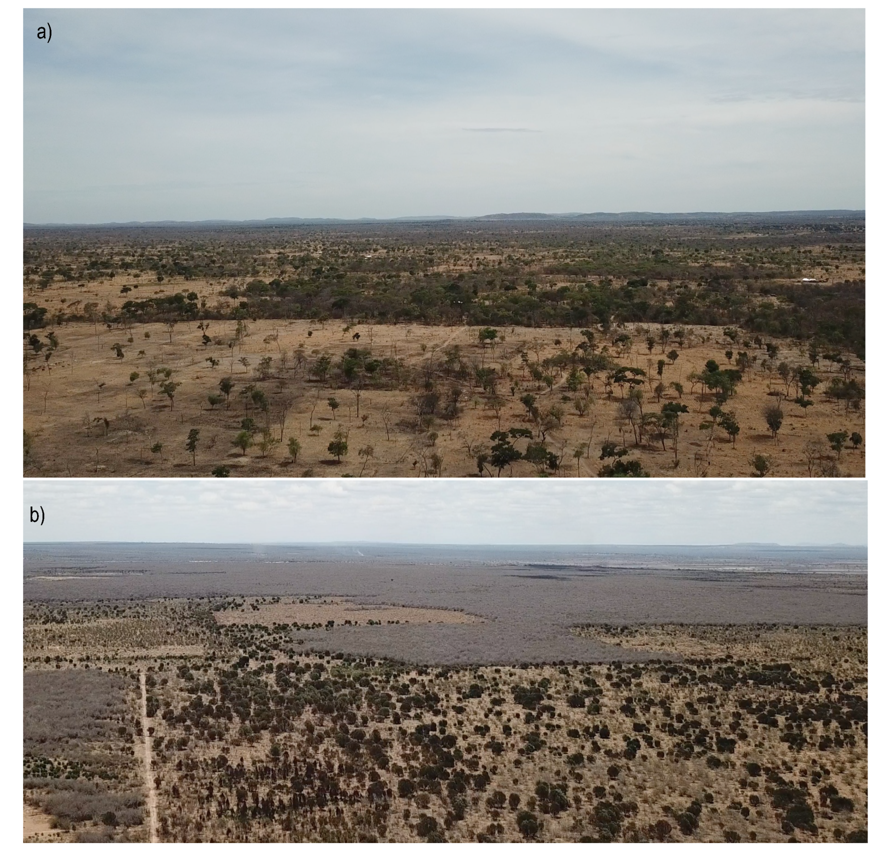 Remotesensing 13 03081 g011