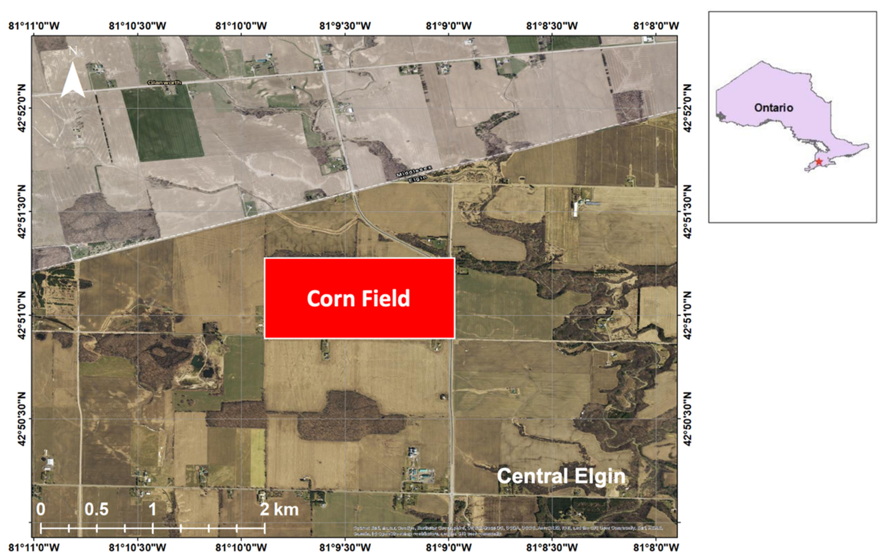 Remotesensing 13 03105 g001