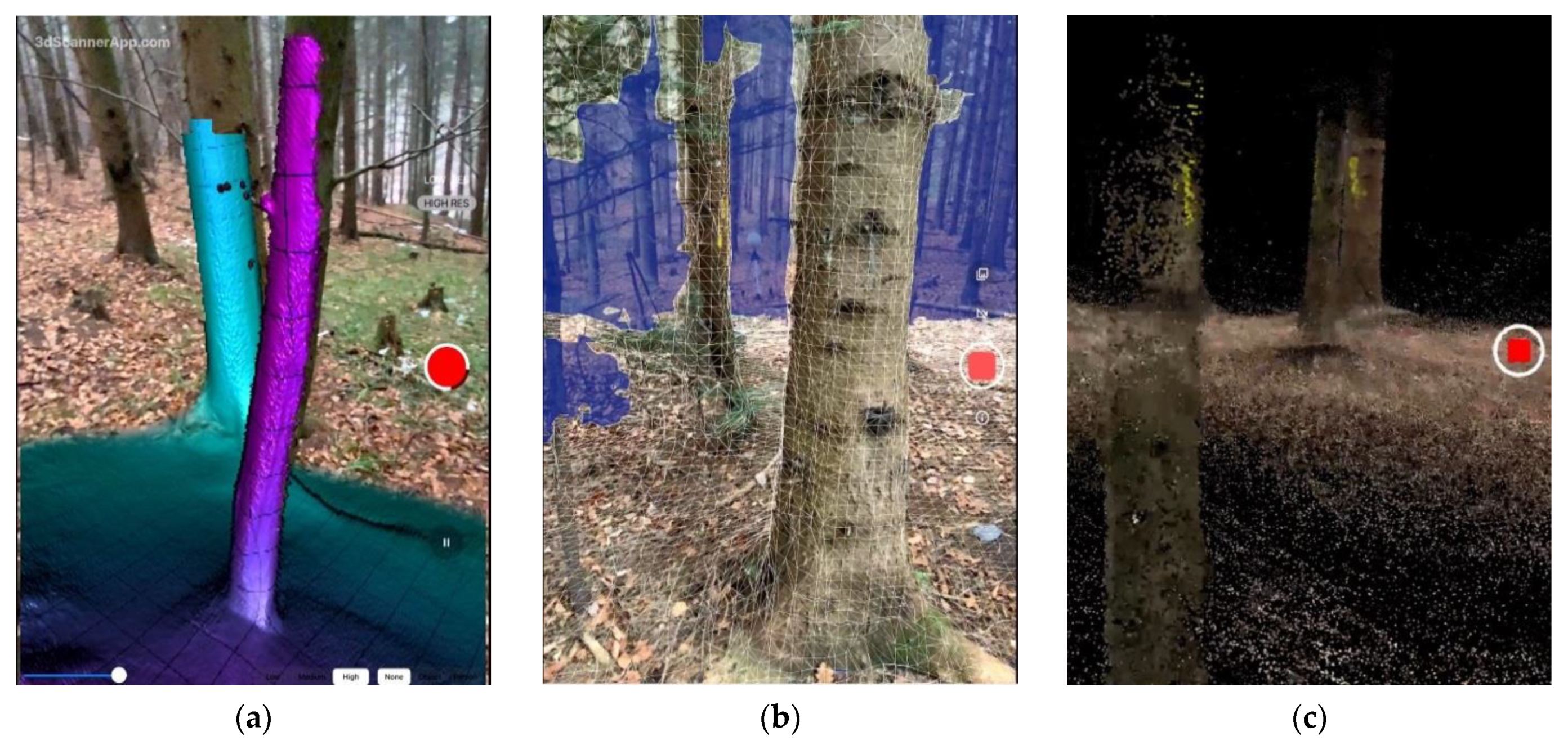 Remotesensing 13 03129 g003