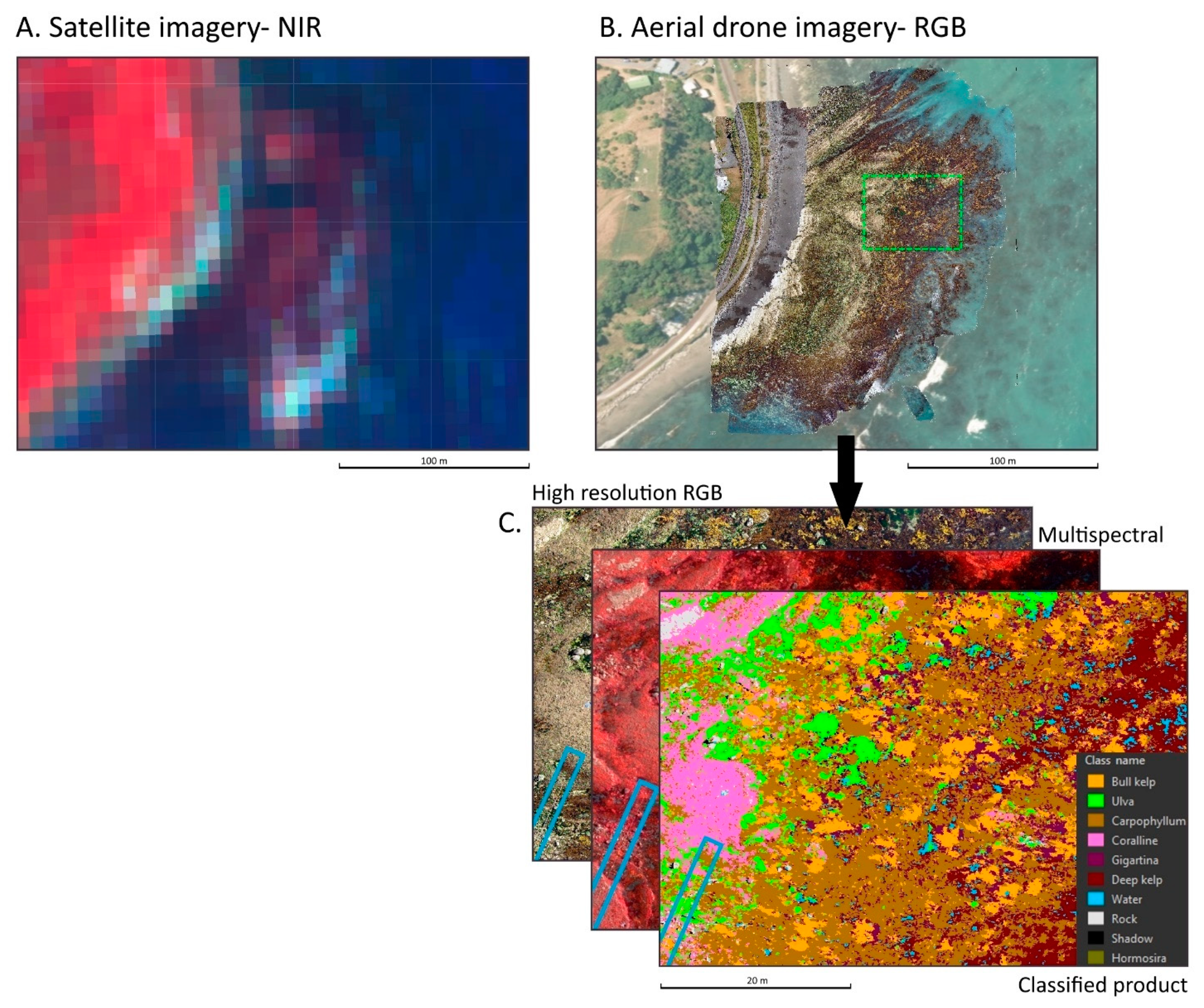 Remotesensing 13 03136 g001