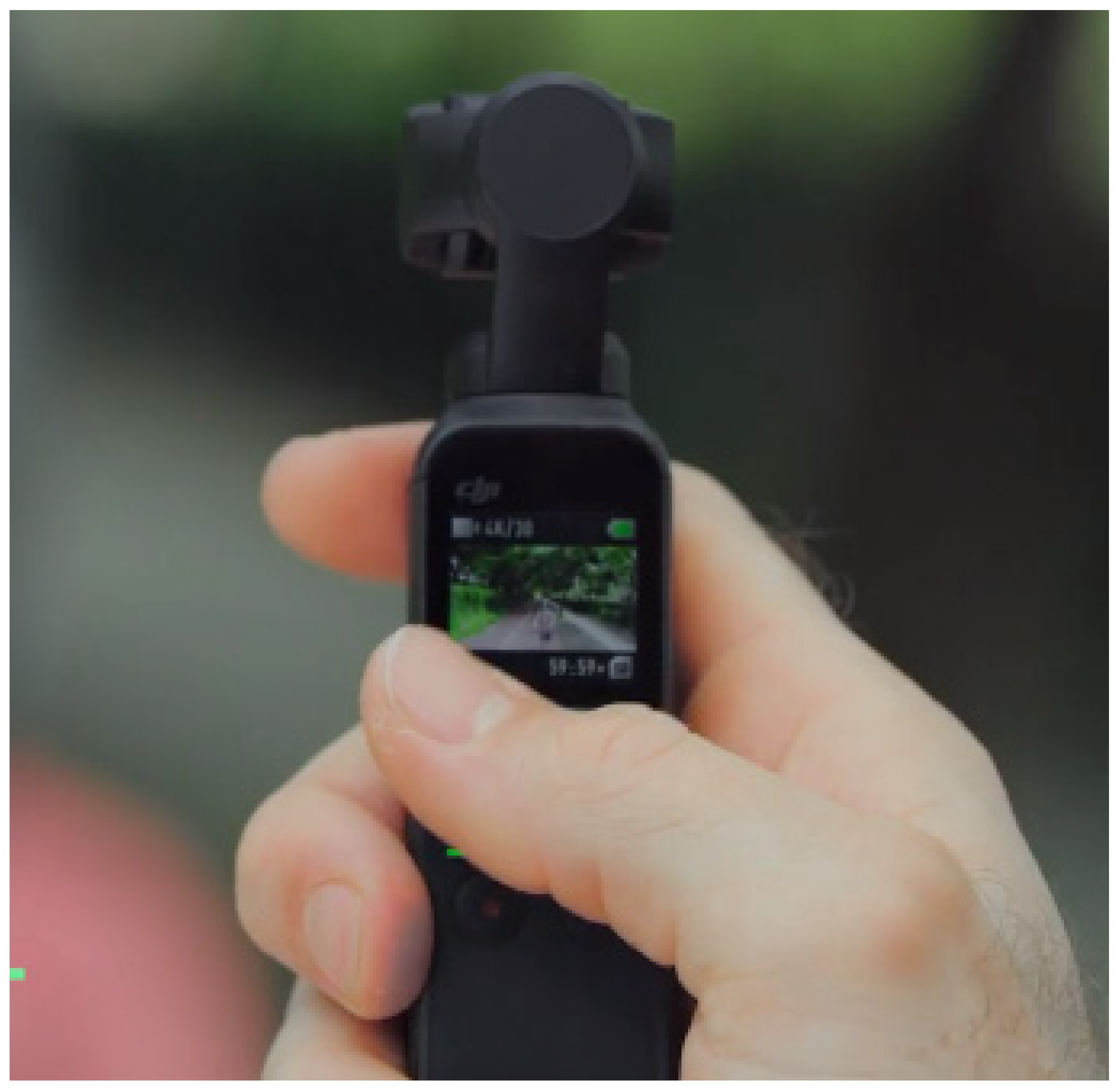 Remotesensing 13 03138 g002