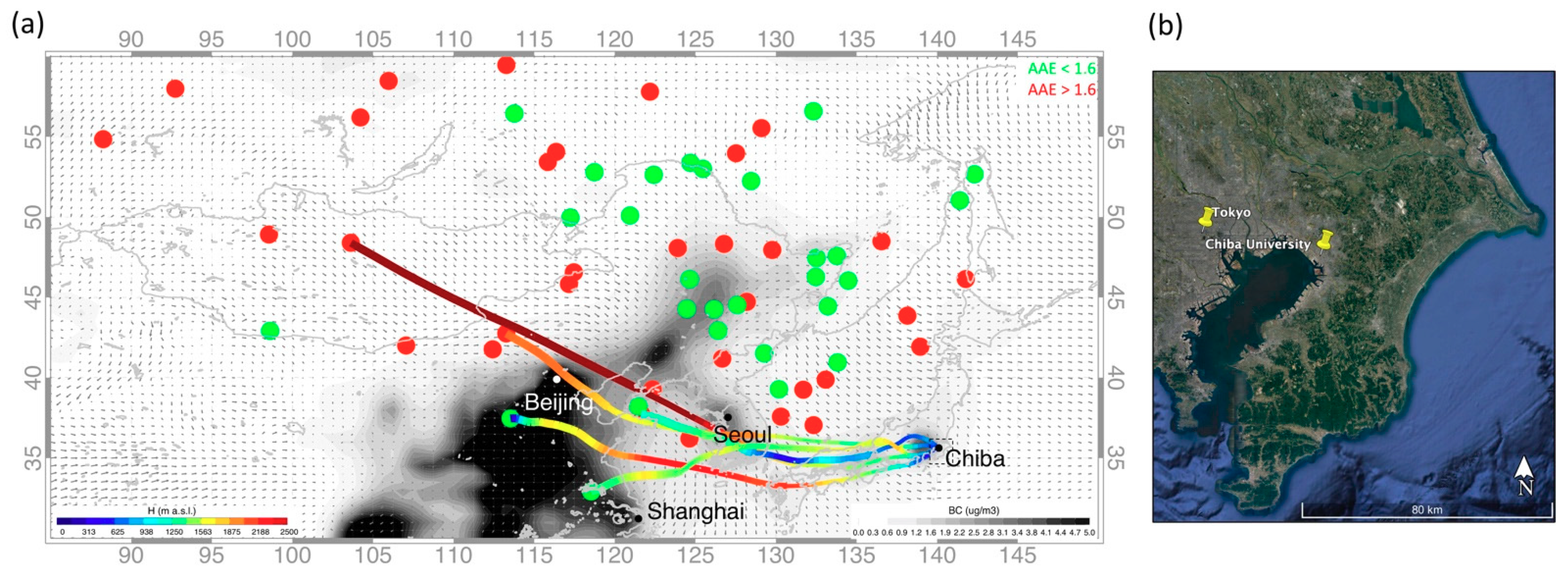 Remotesensing 13 03163 g001