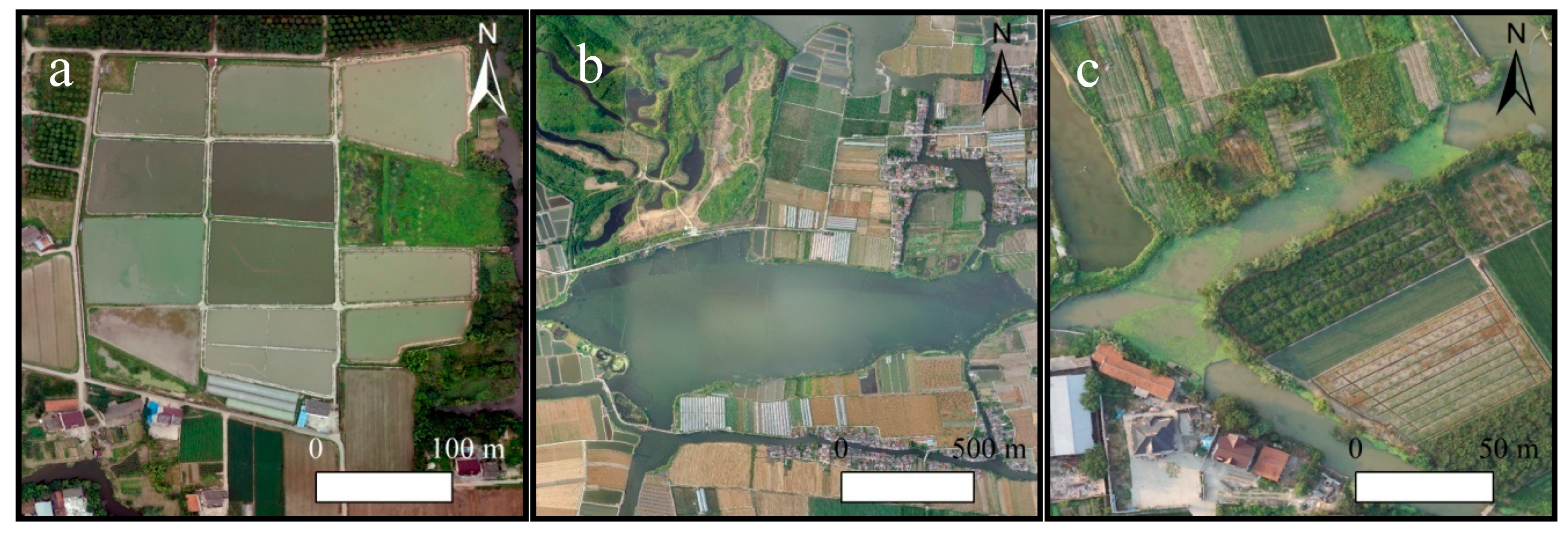 Remotesensing 13 03165 g002a