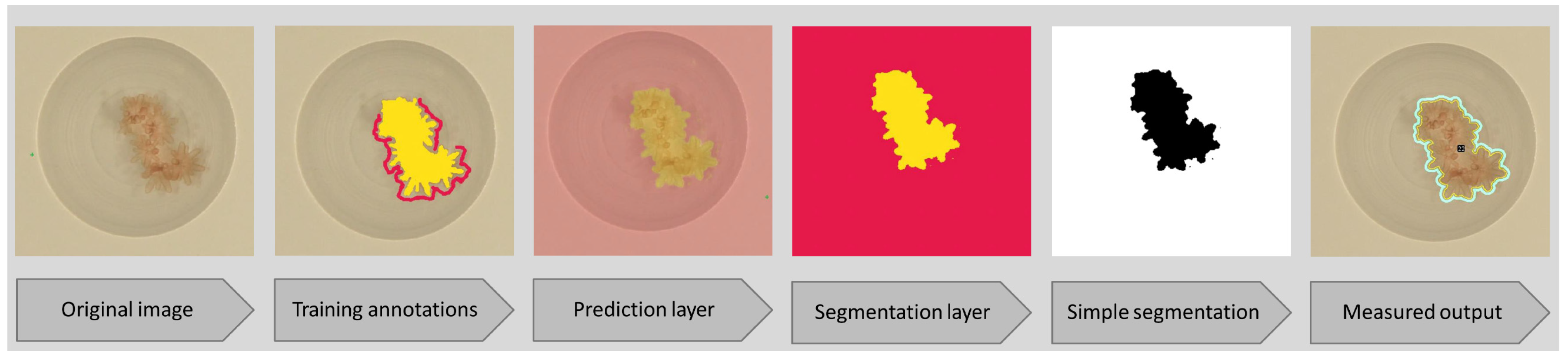 Remotesensing 13 03173 g002