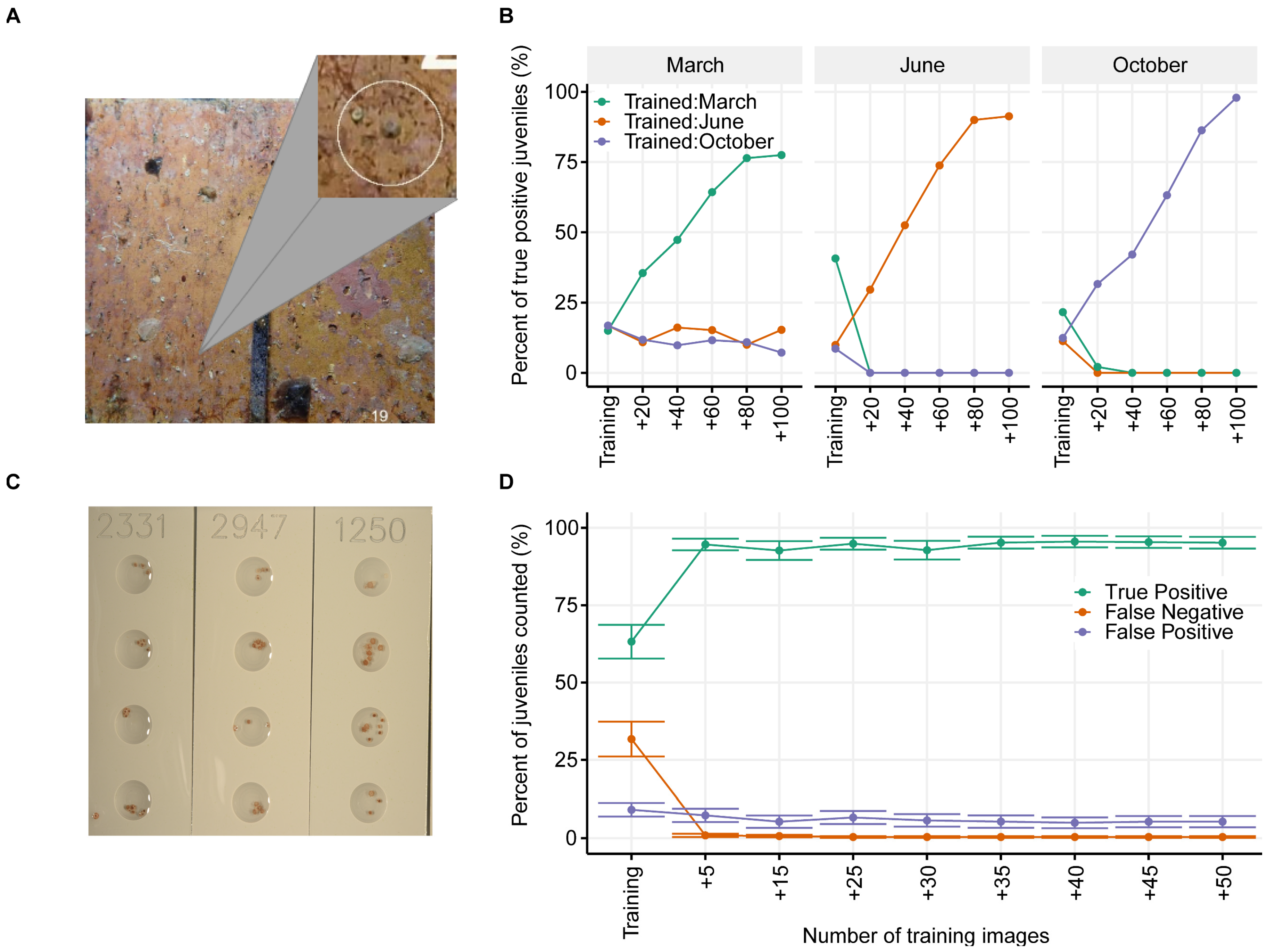 Remotesensing 13 03173 g003