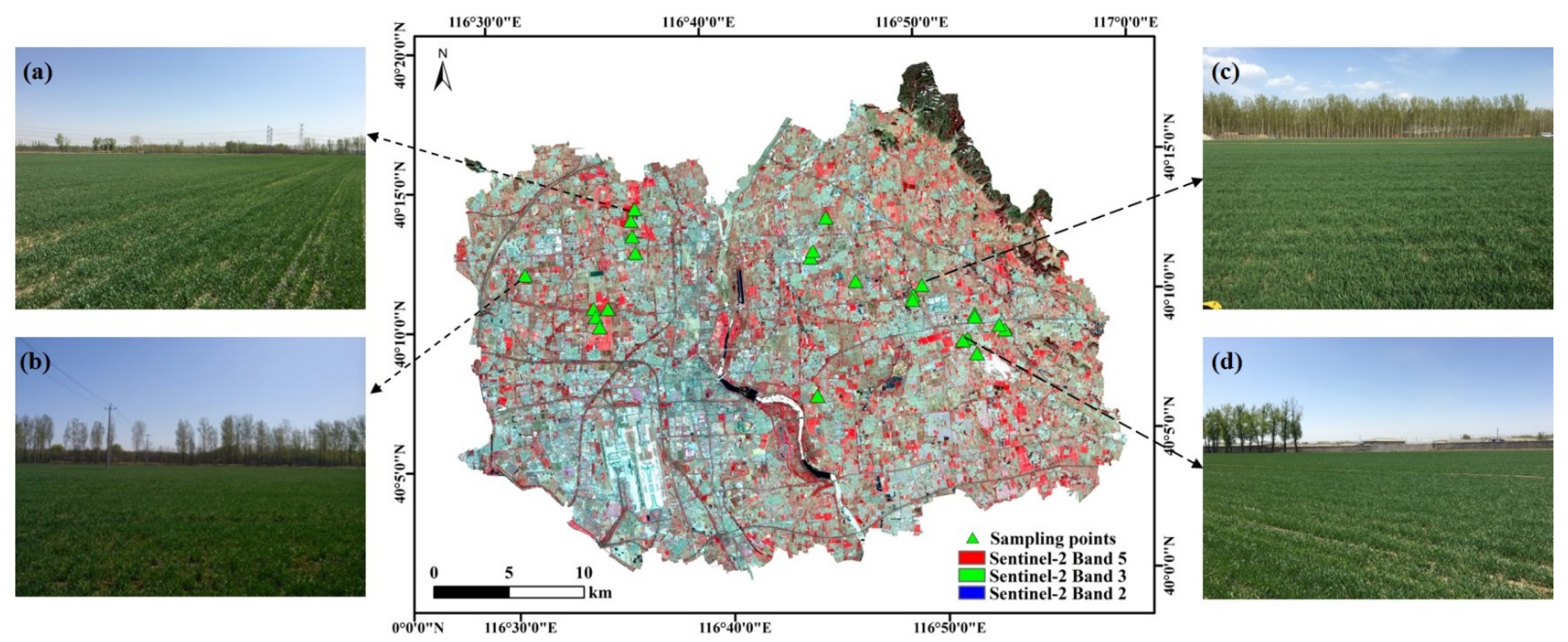 Remotesensing 13 03175 g001