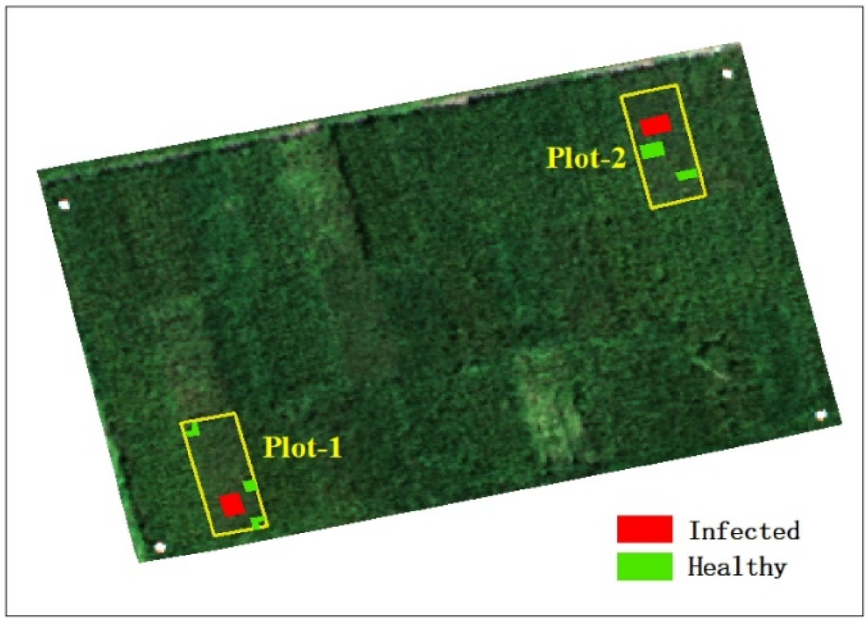 Remotesensing 13 03185 g003