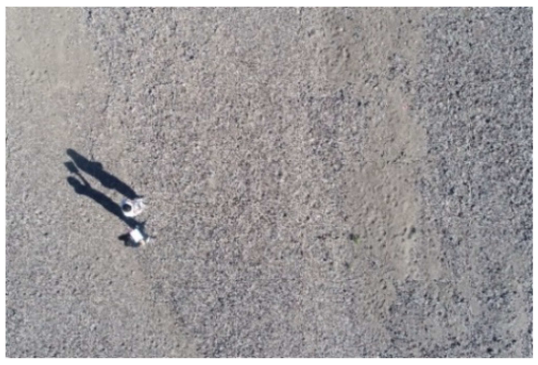 Remotesensing 13 03188 g002