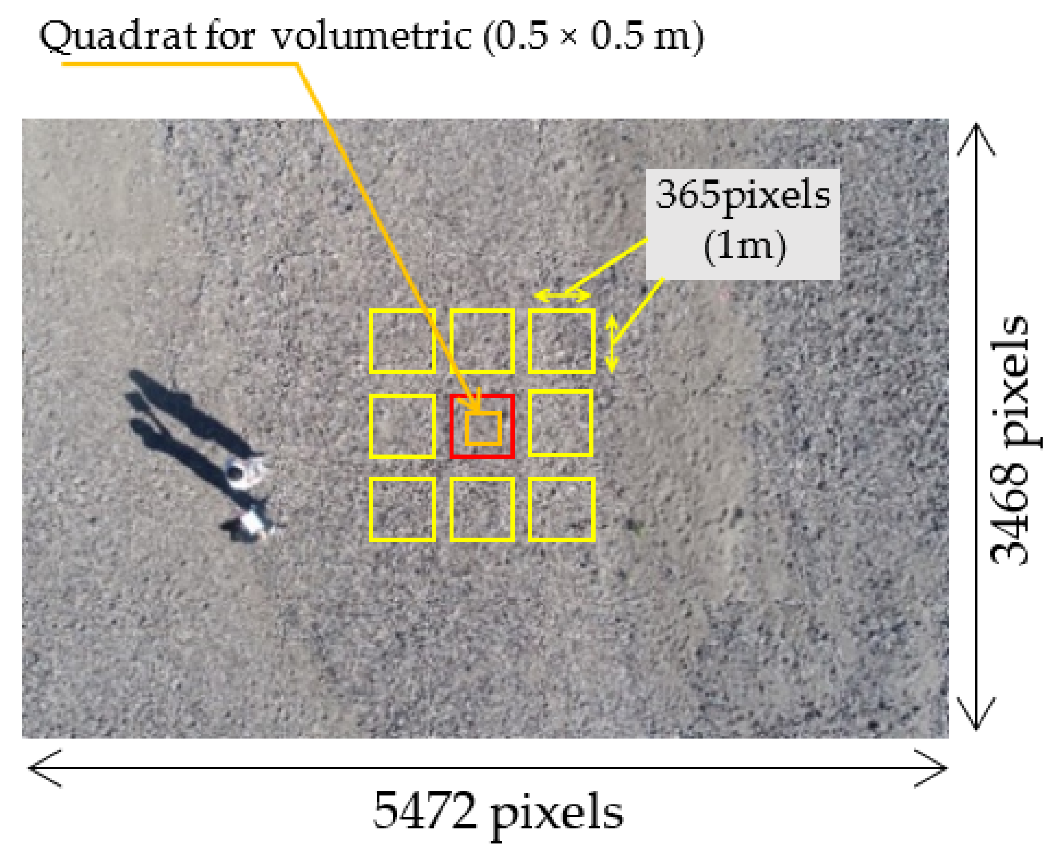 Remotesensing 13 03188 g003