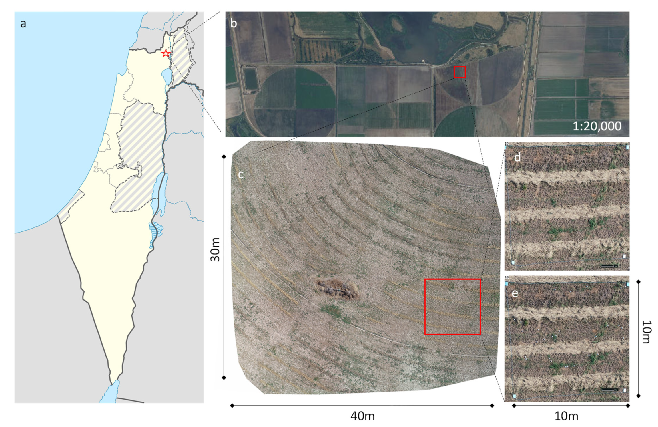 Remotesensing 13 03191 g002