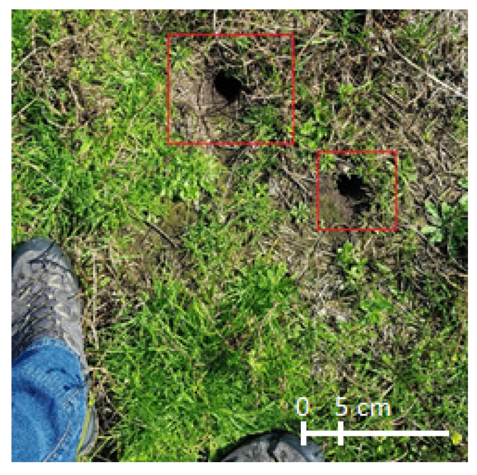 Remotesensing 13 03191 g003