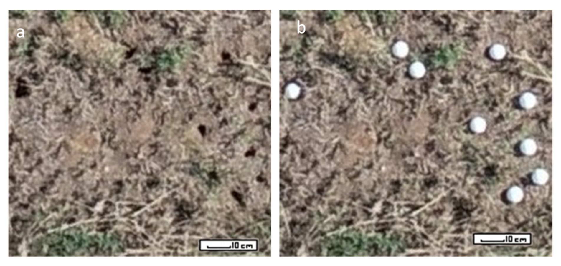 Remotesensing 13 03191 g005