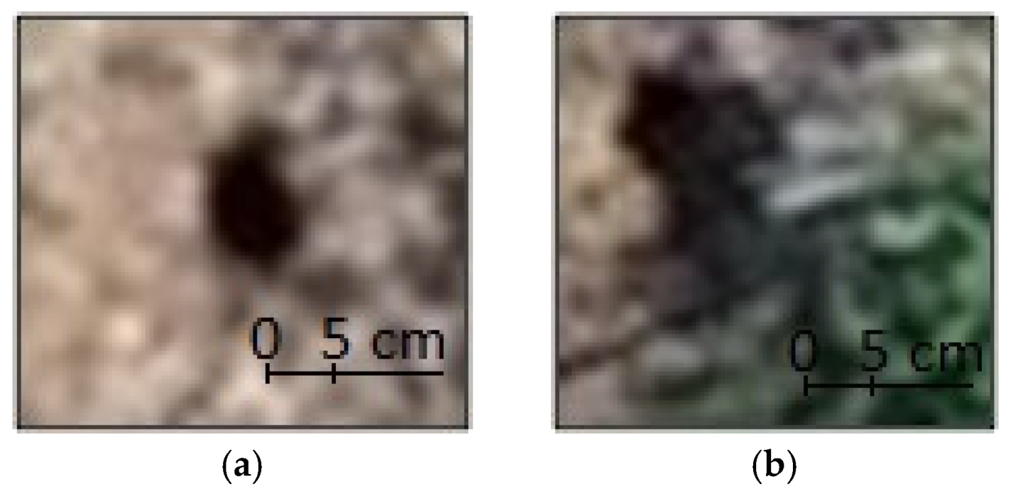 Remotesensing 13 03191 g006