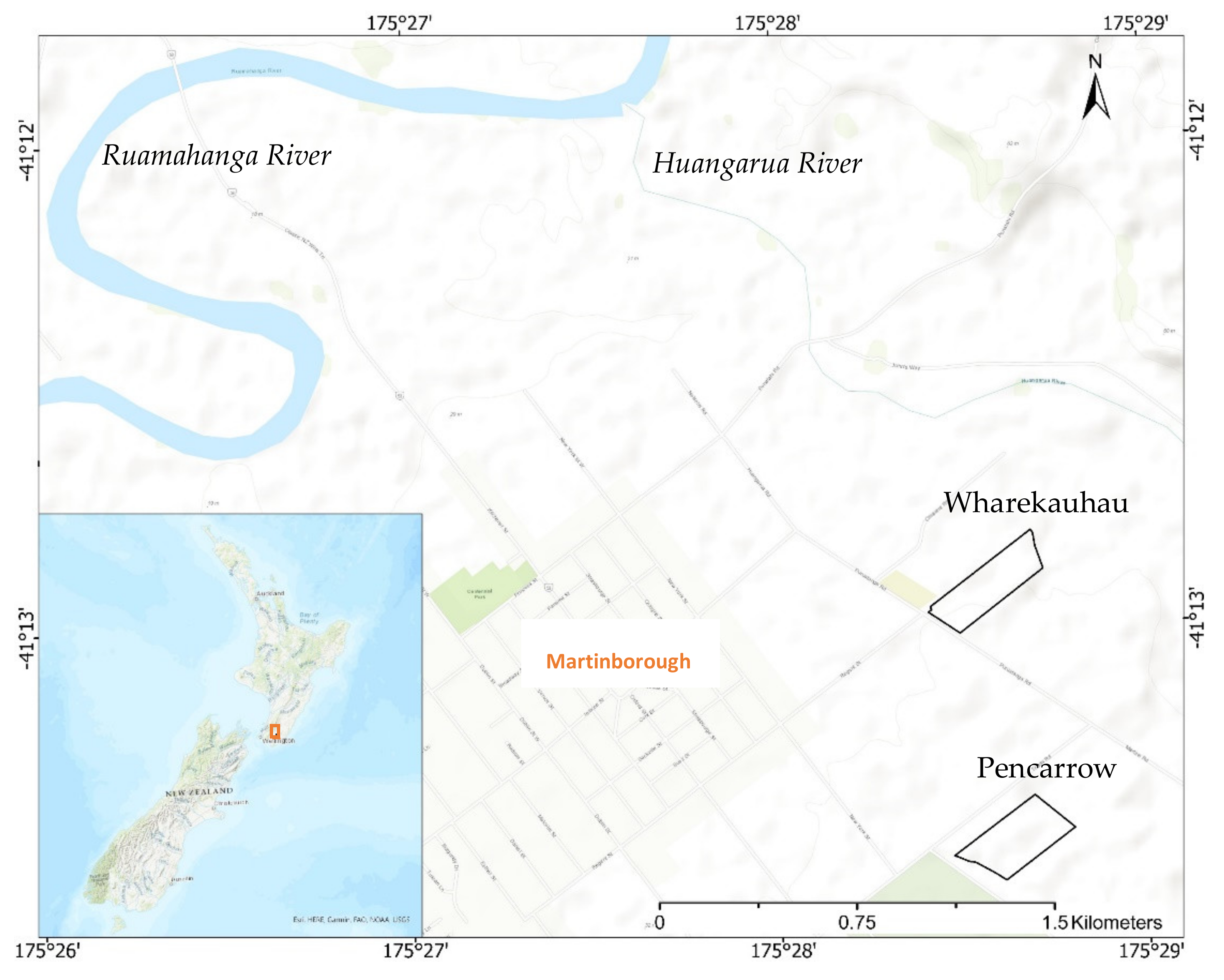 Remotesensing 13 03198 g001