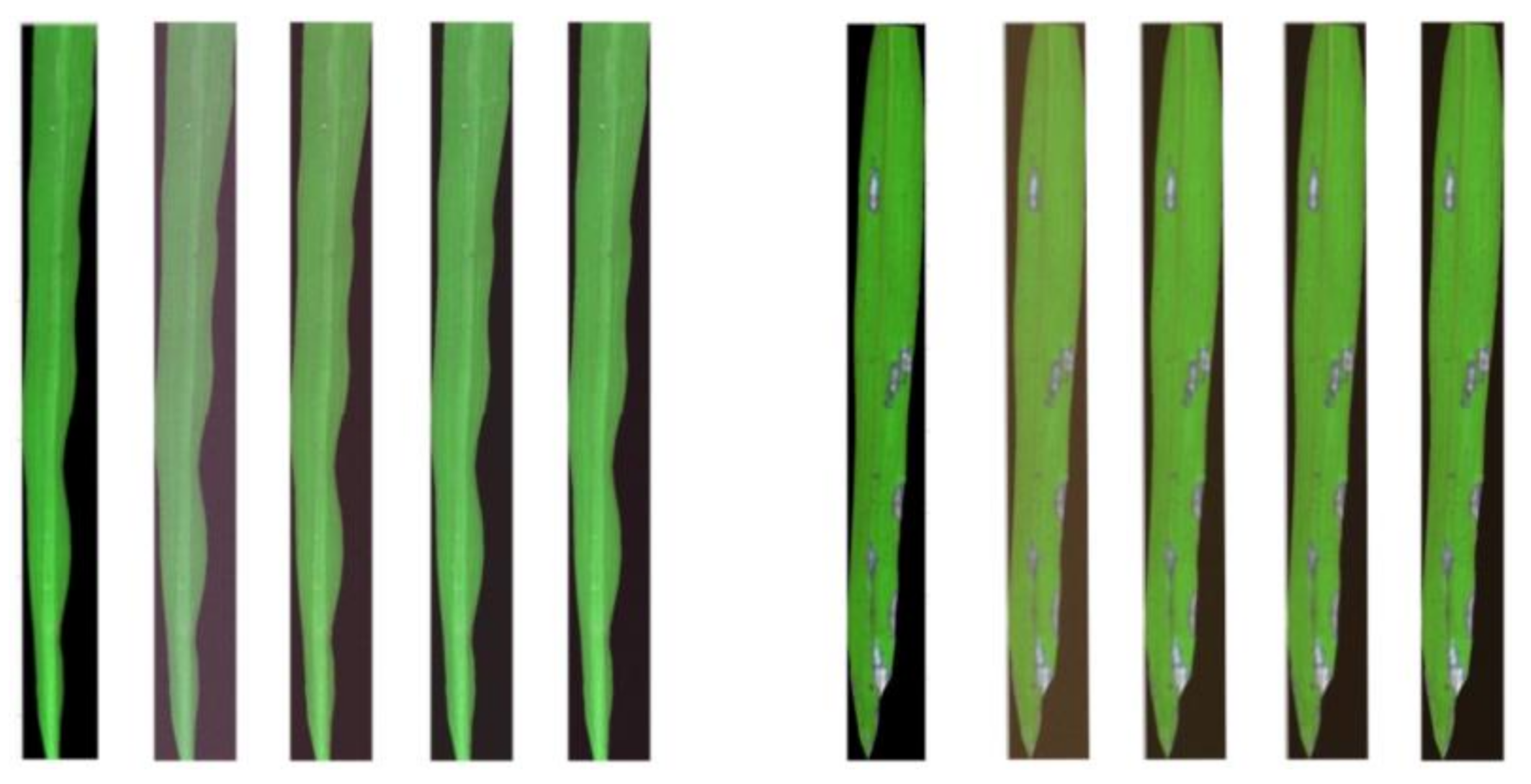 Remotesensing 13 03207 g003