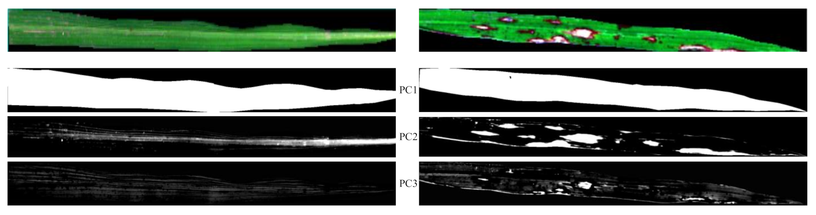 Remotesensing 13 03207 g009