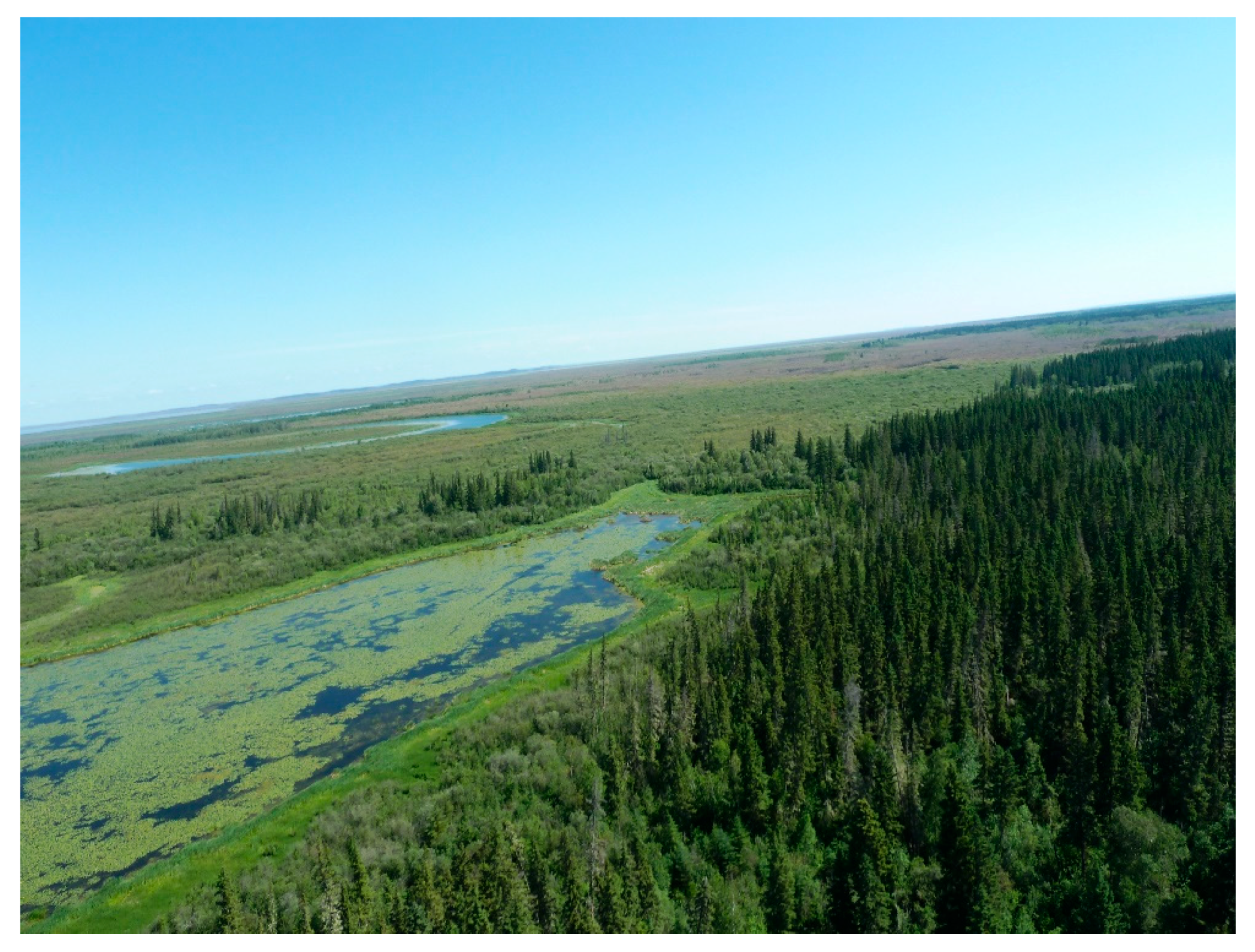 Remotesensing 13 03219 g002