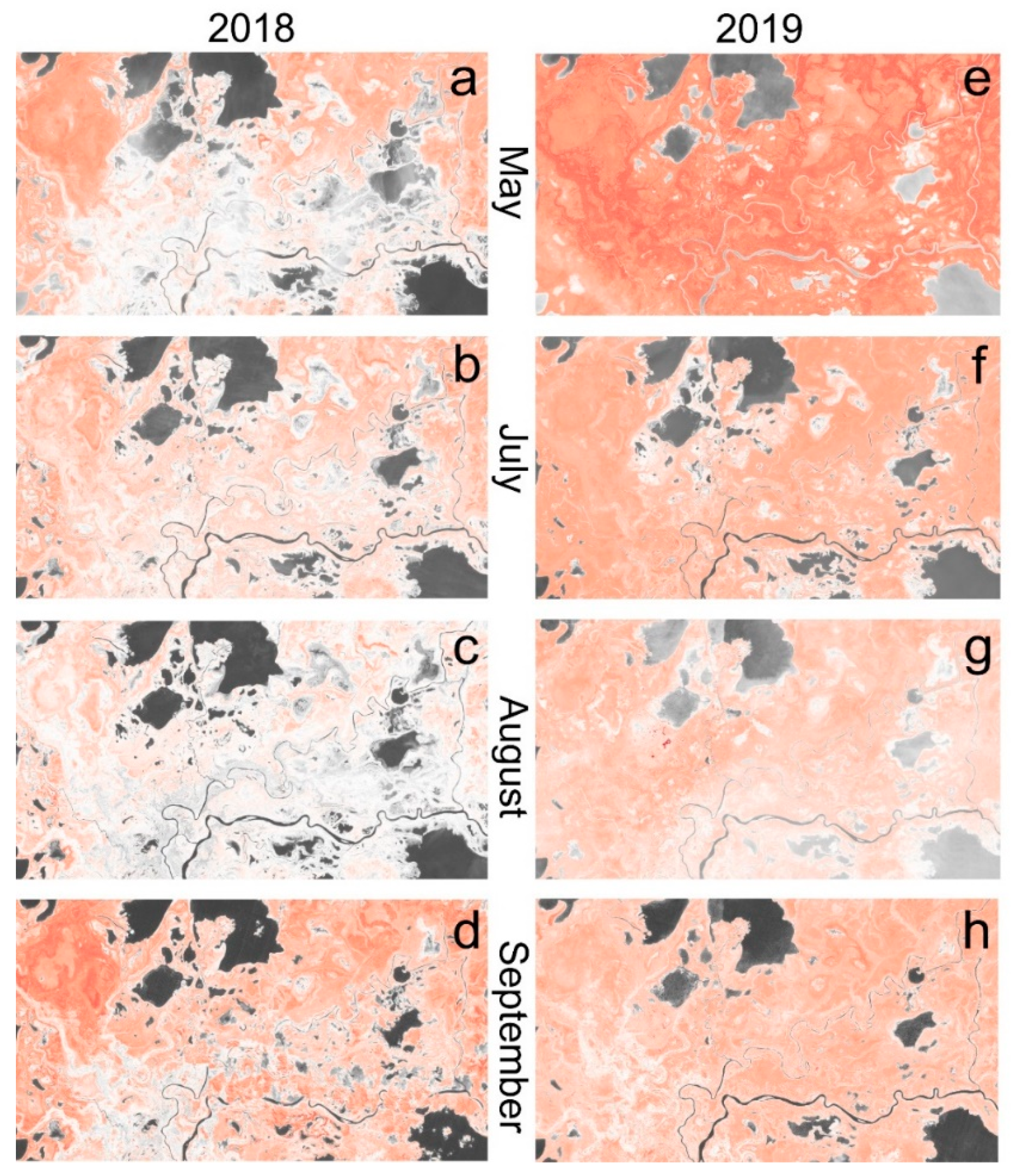 Remotesensing 13 03219 g006