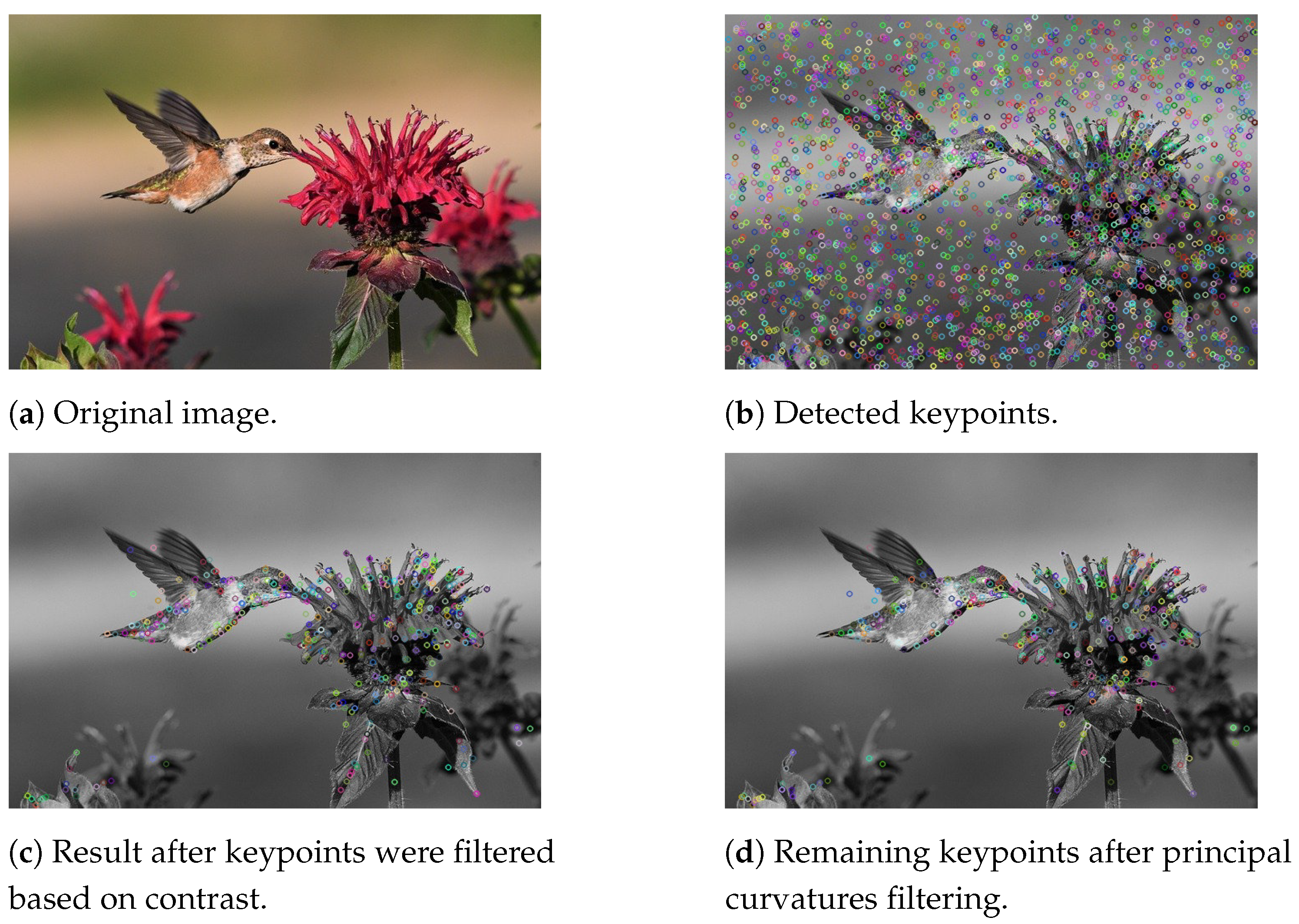 Remotesensing 13 03227 g007