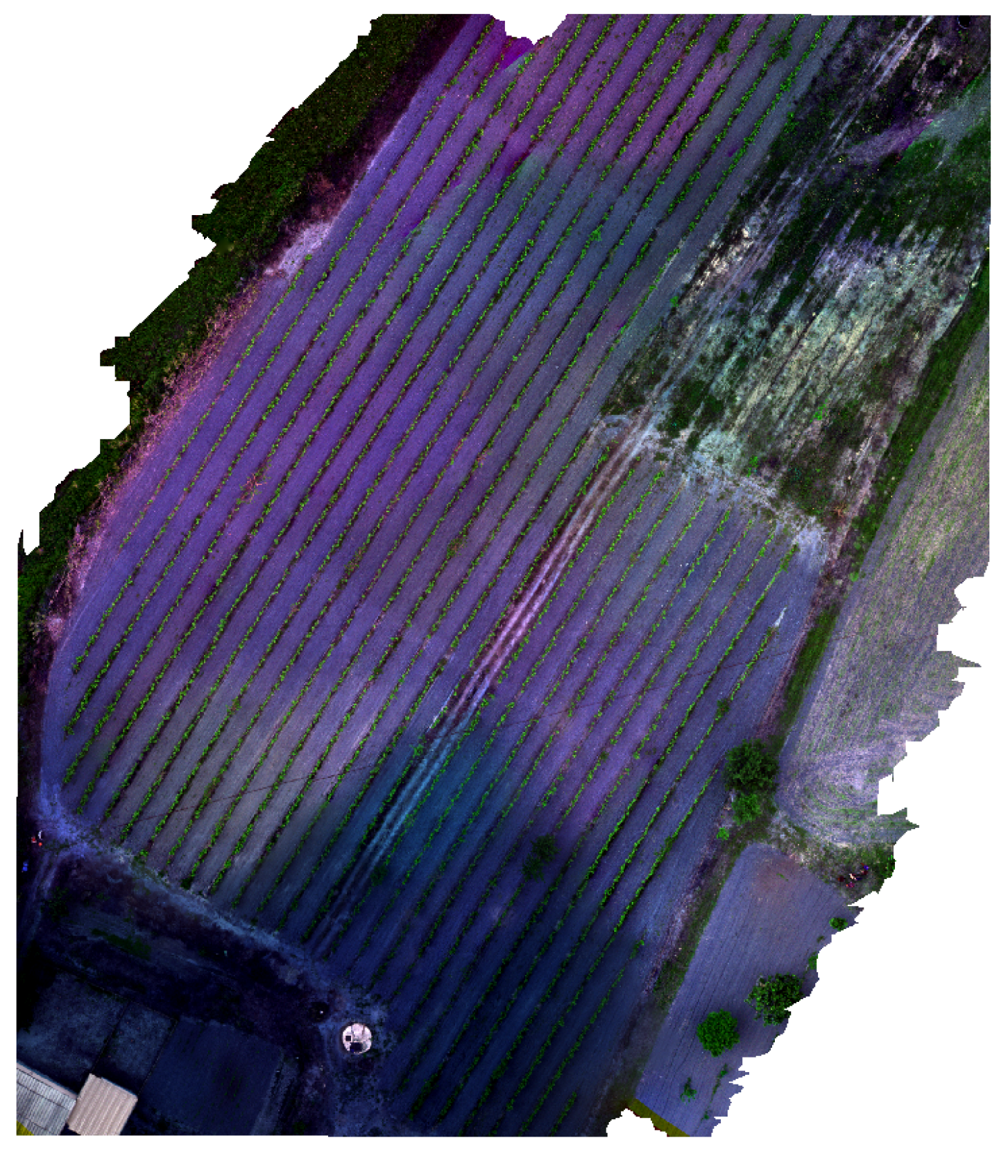 Remotesensing 13 03227 g029