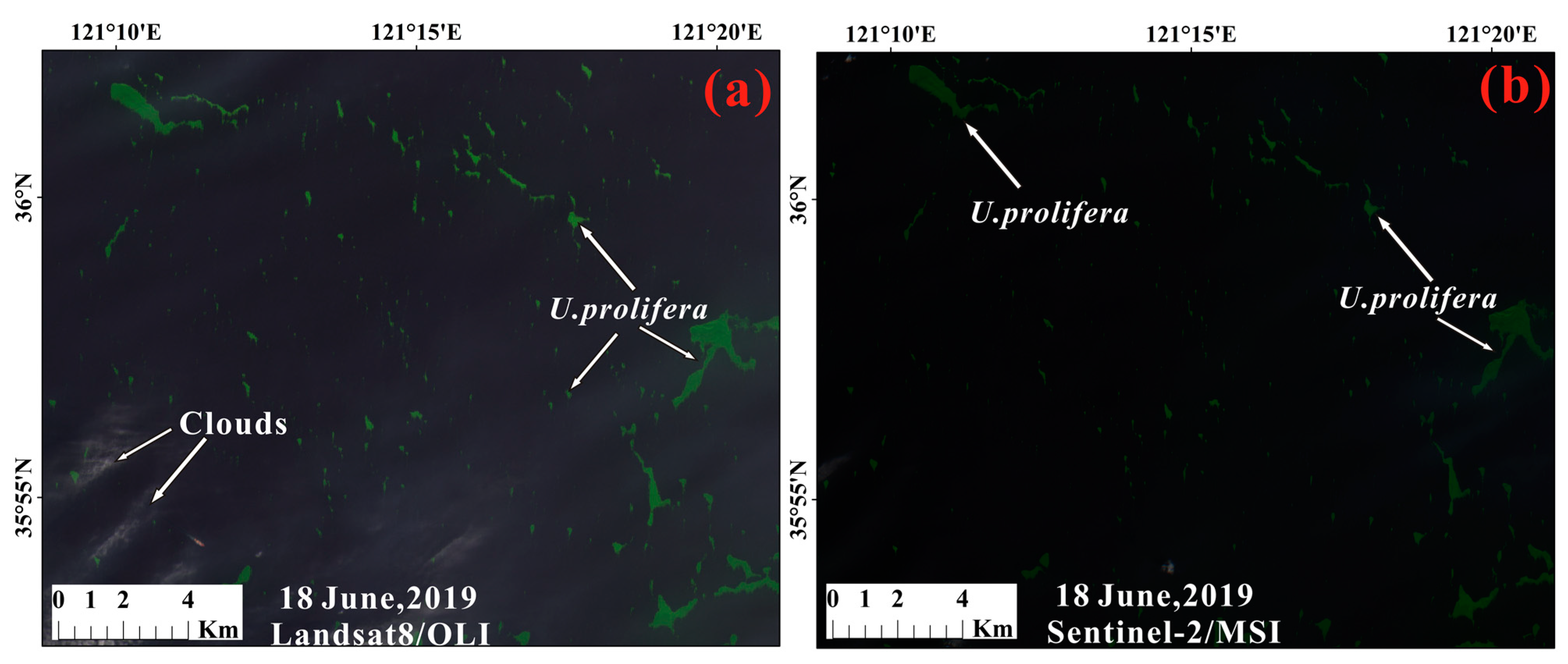 Remotesensing 13 03240 g005