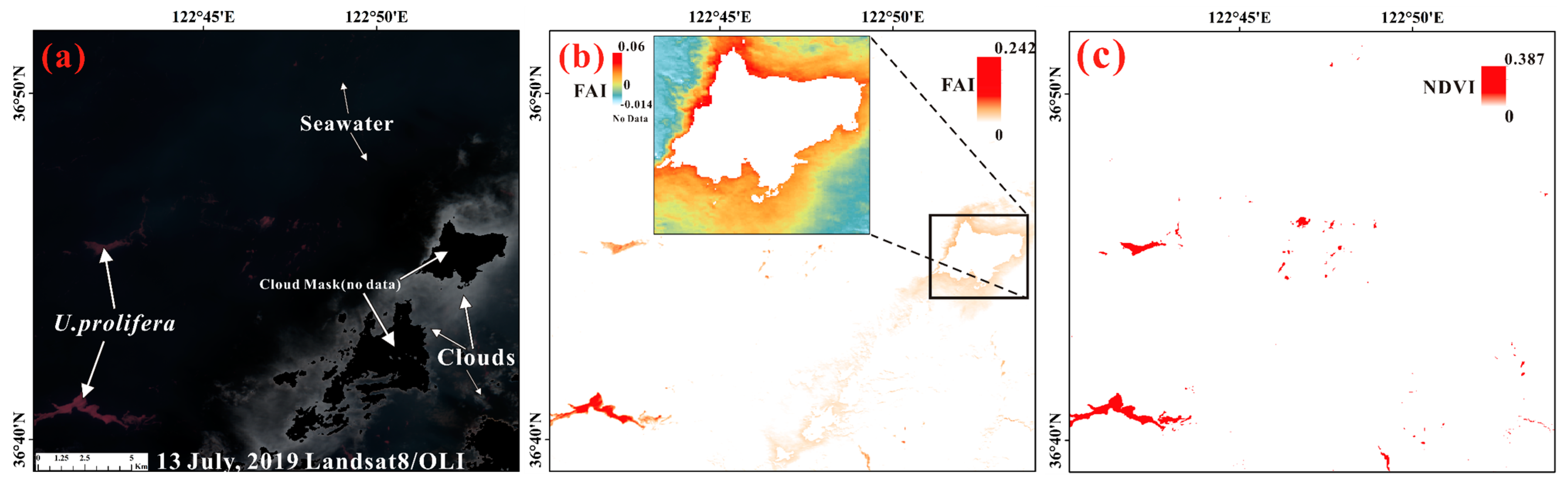 Remotesensing 13 03240 g016