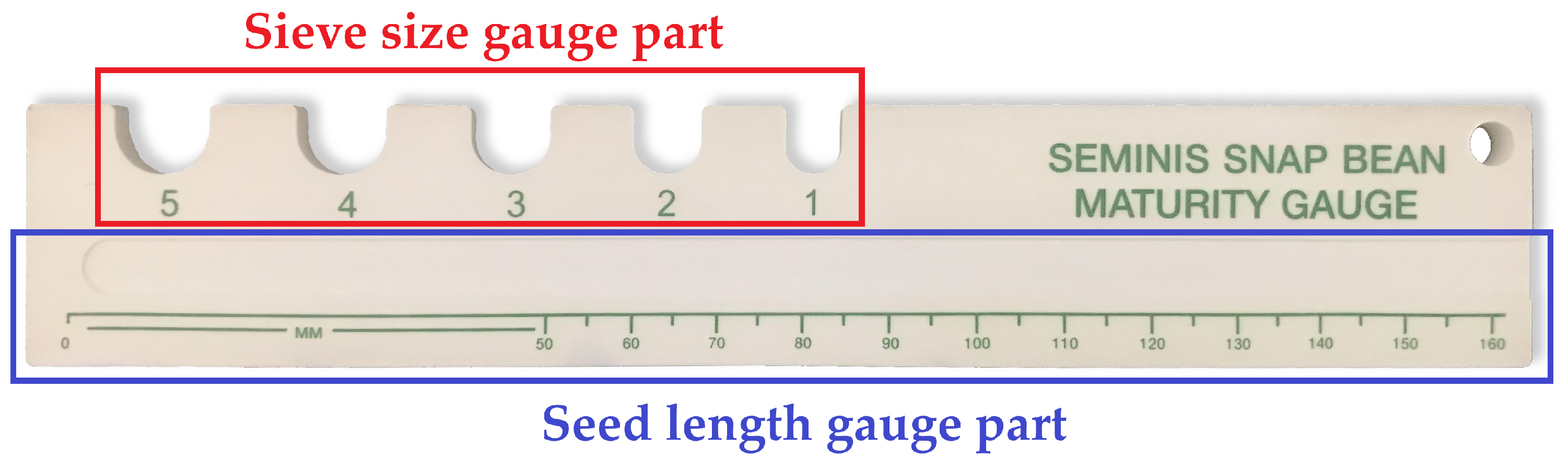 Remotesensing 13 03241 g003