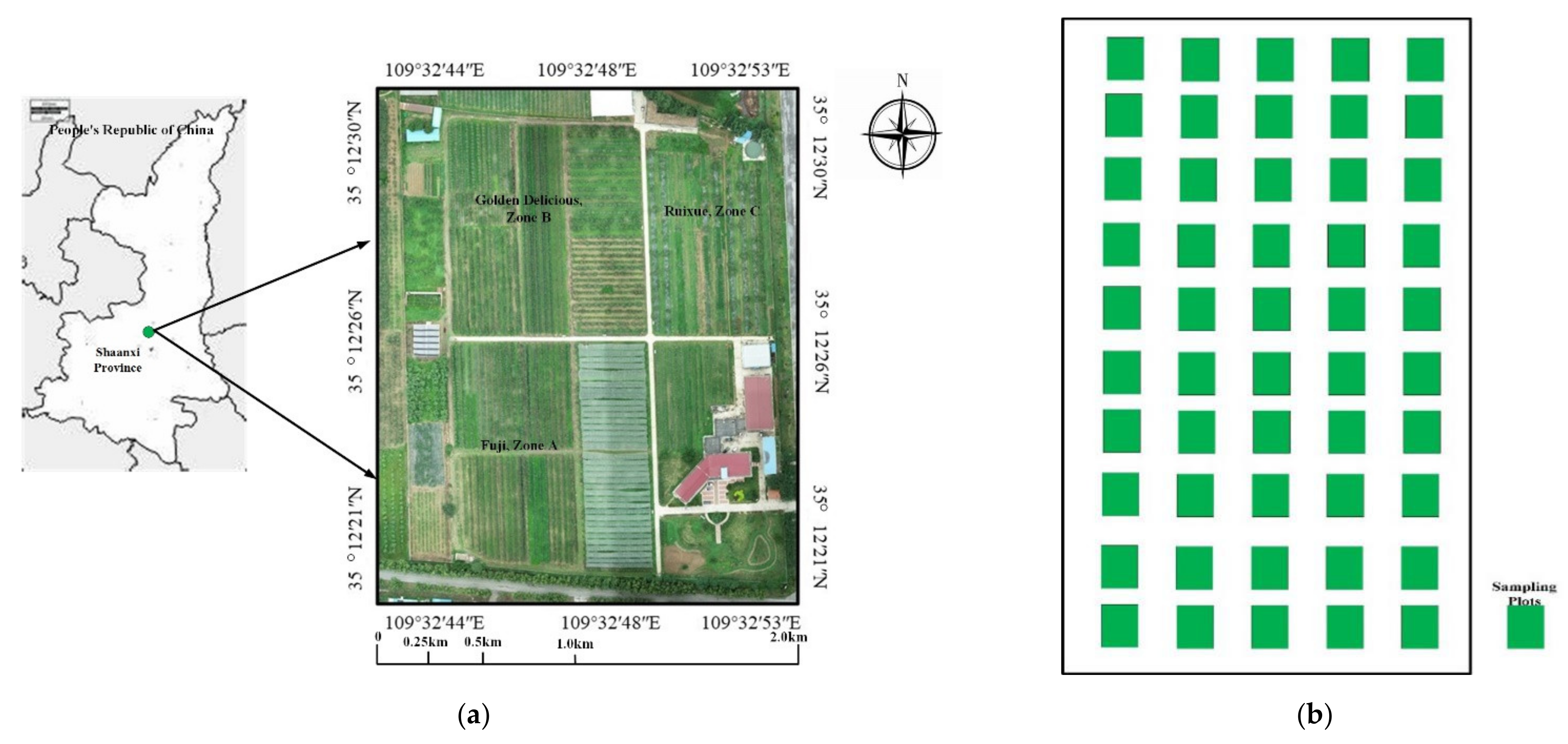 Remotesensing 13 03263 g001