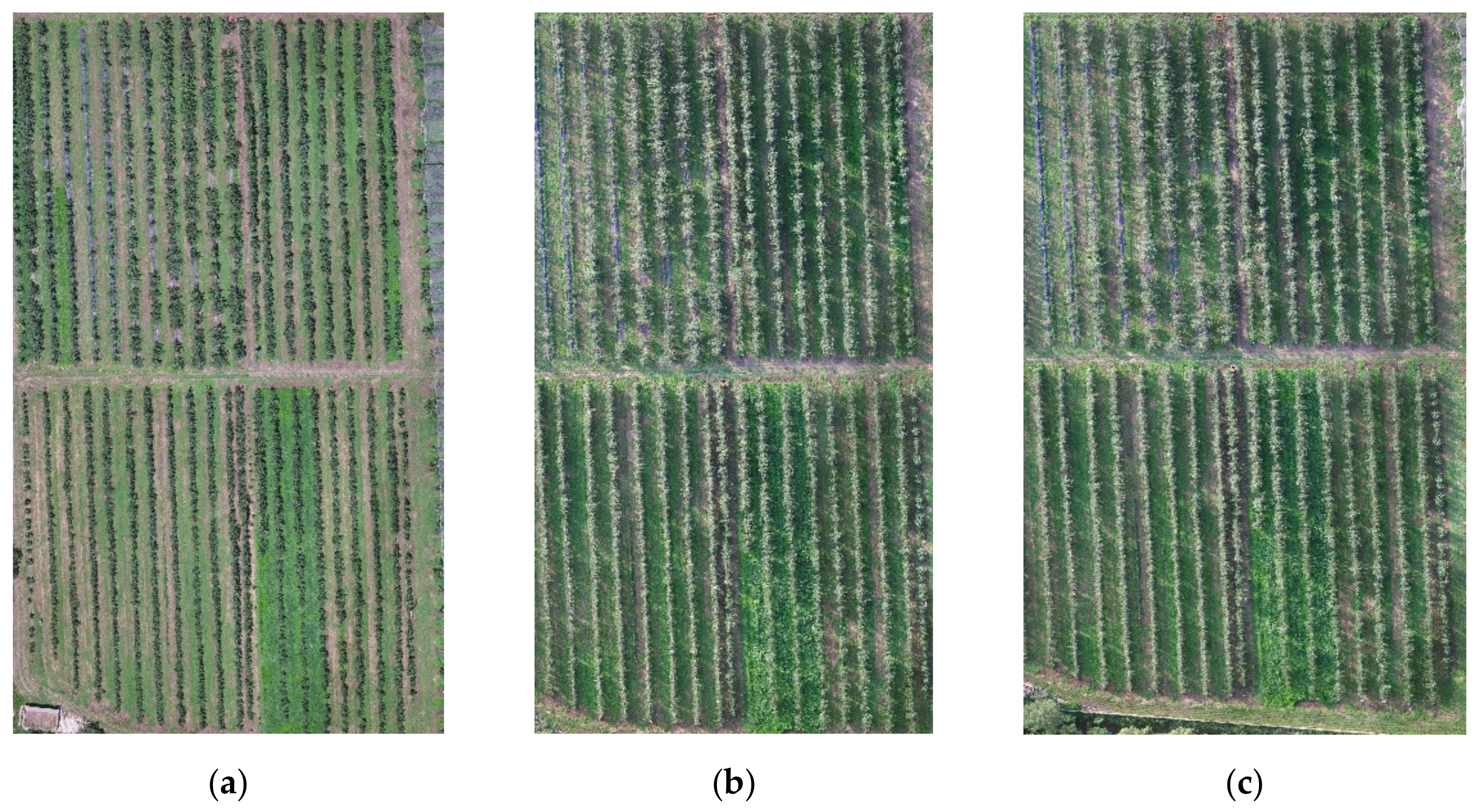 Remotesensing 13 03263 g005