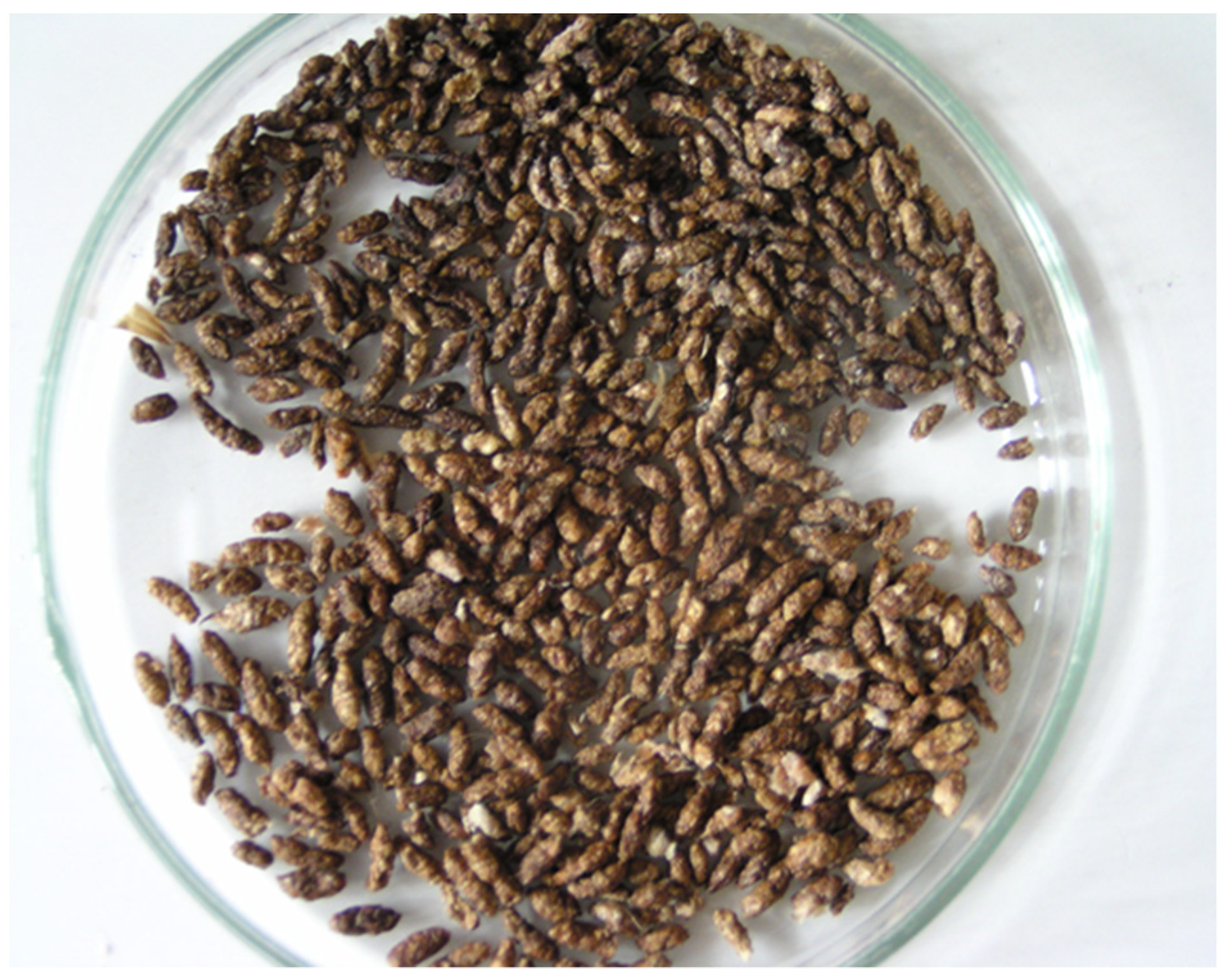 Remotesensing 13 03268 g001