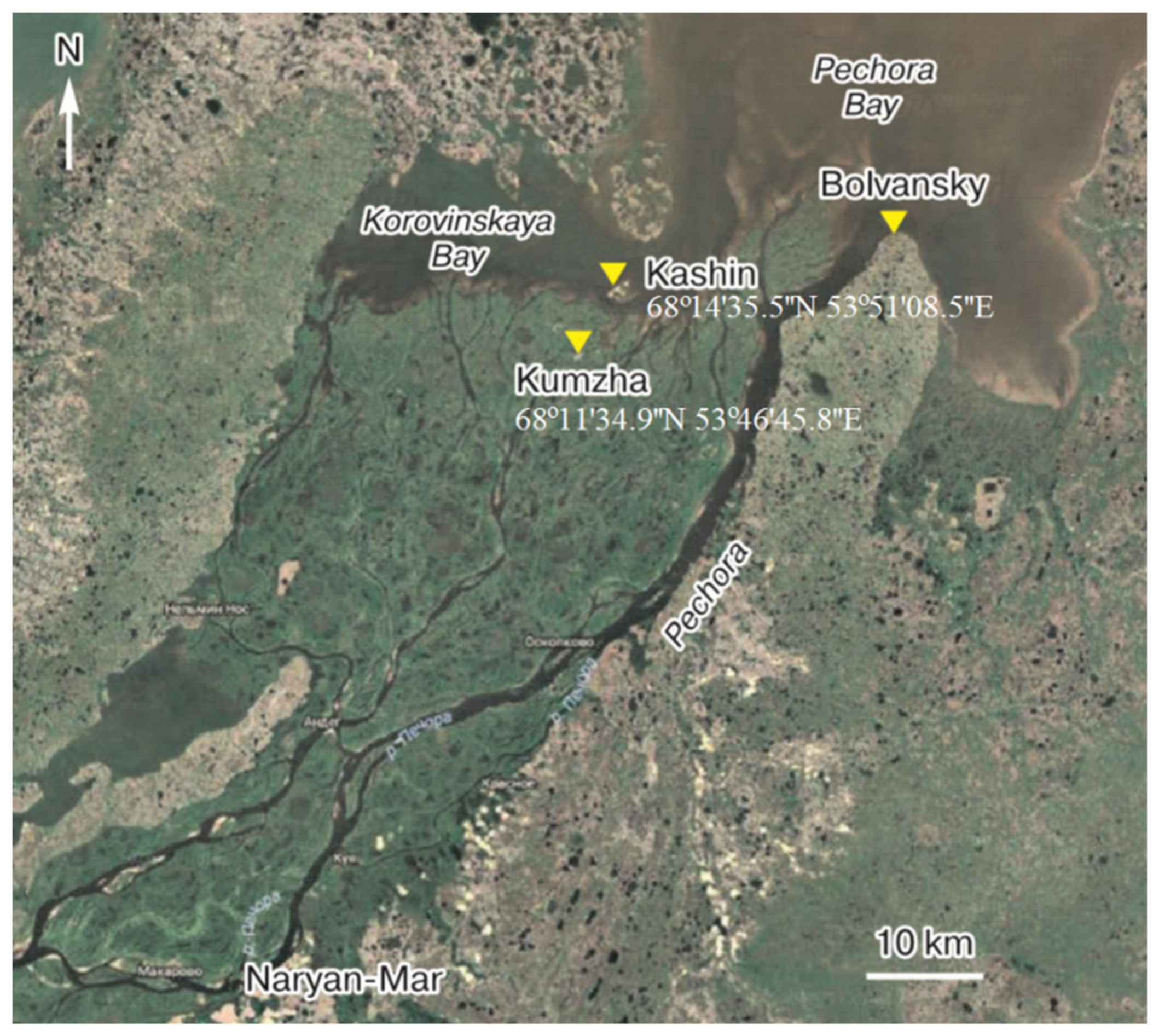 Remotesensing 13 03271 g001