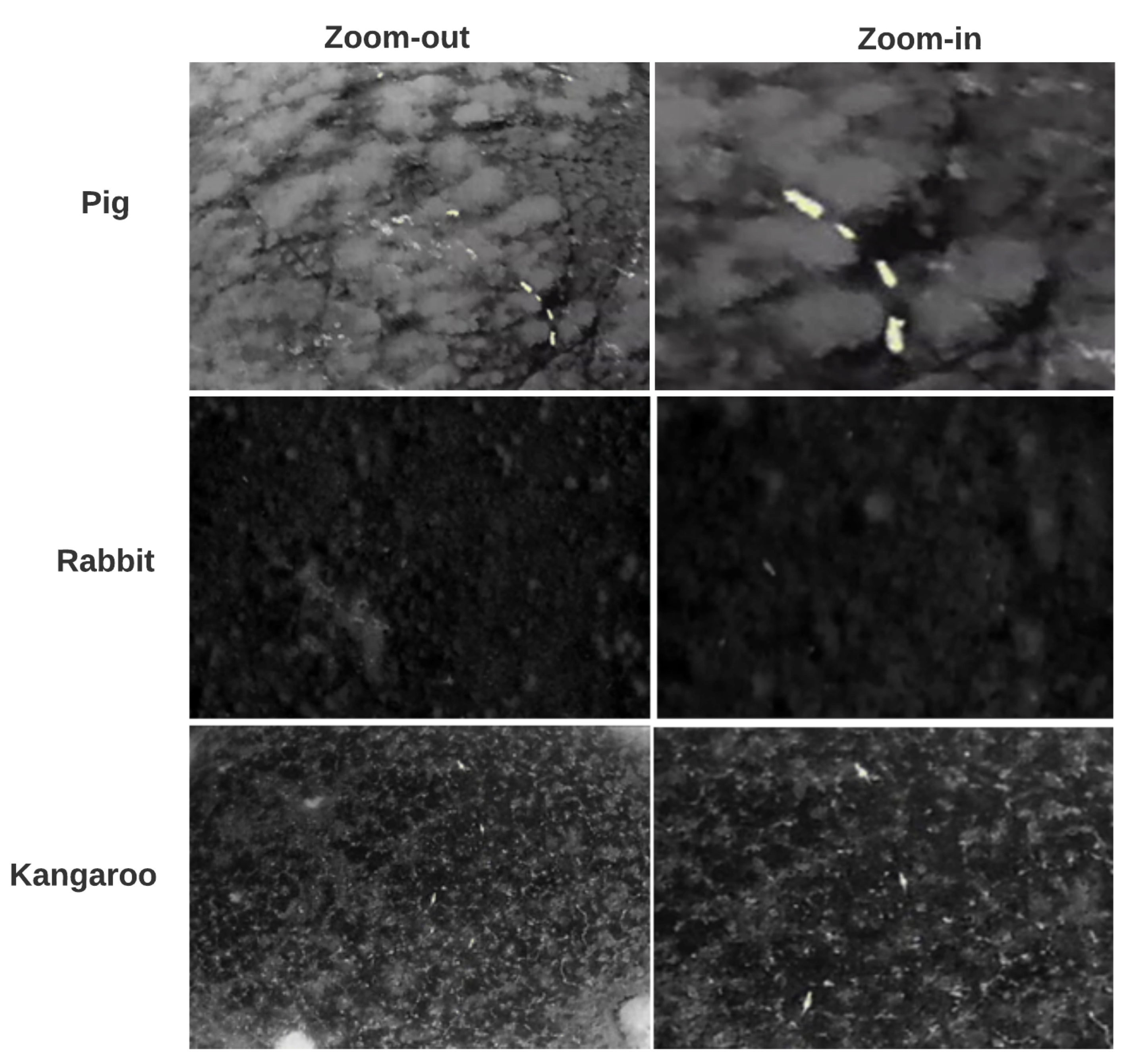 Remotesensing 13 03276 g003