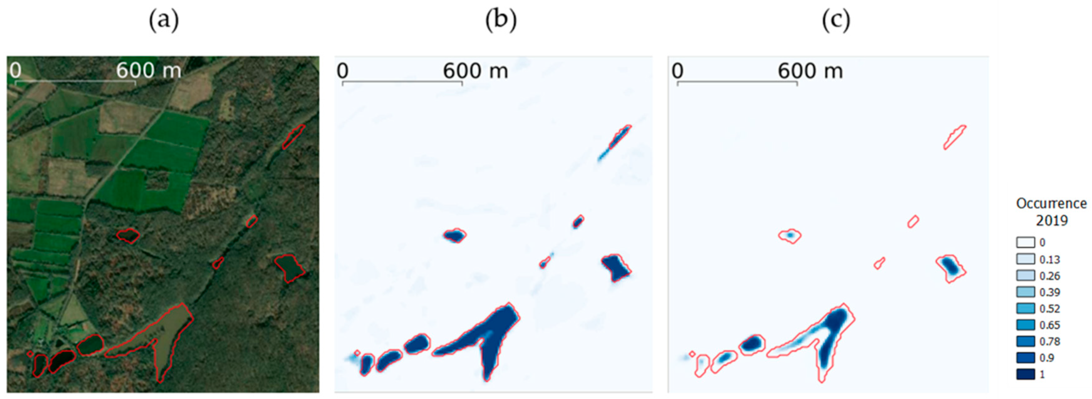 Remotesensing 13 03279 g012