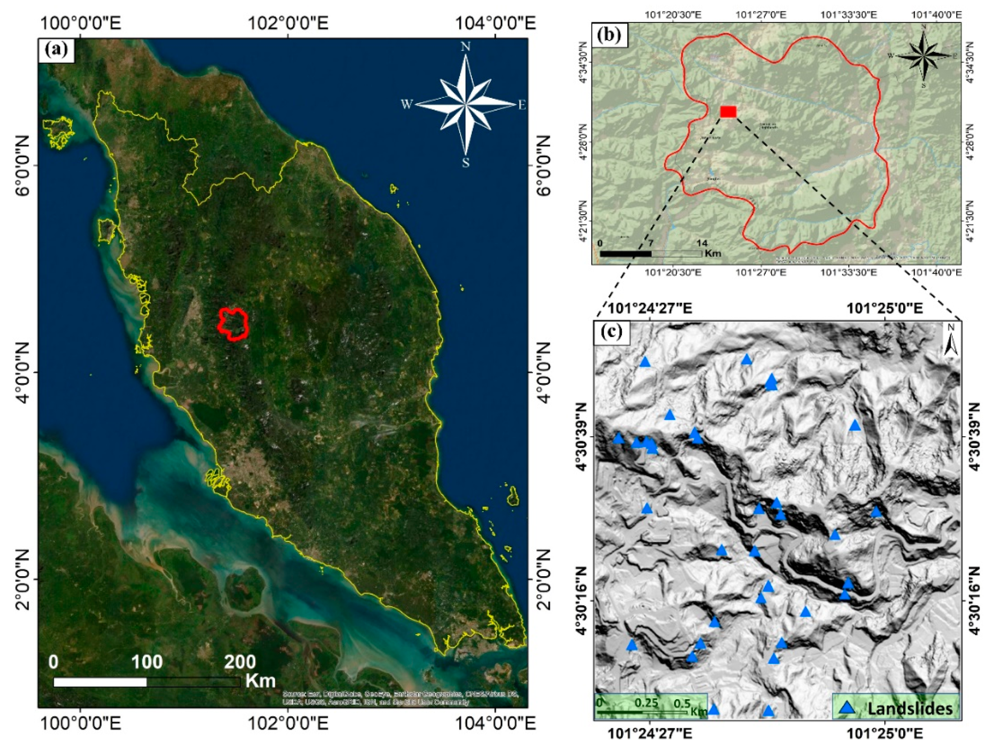 Remotesensing 13 03281 g001