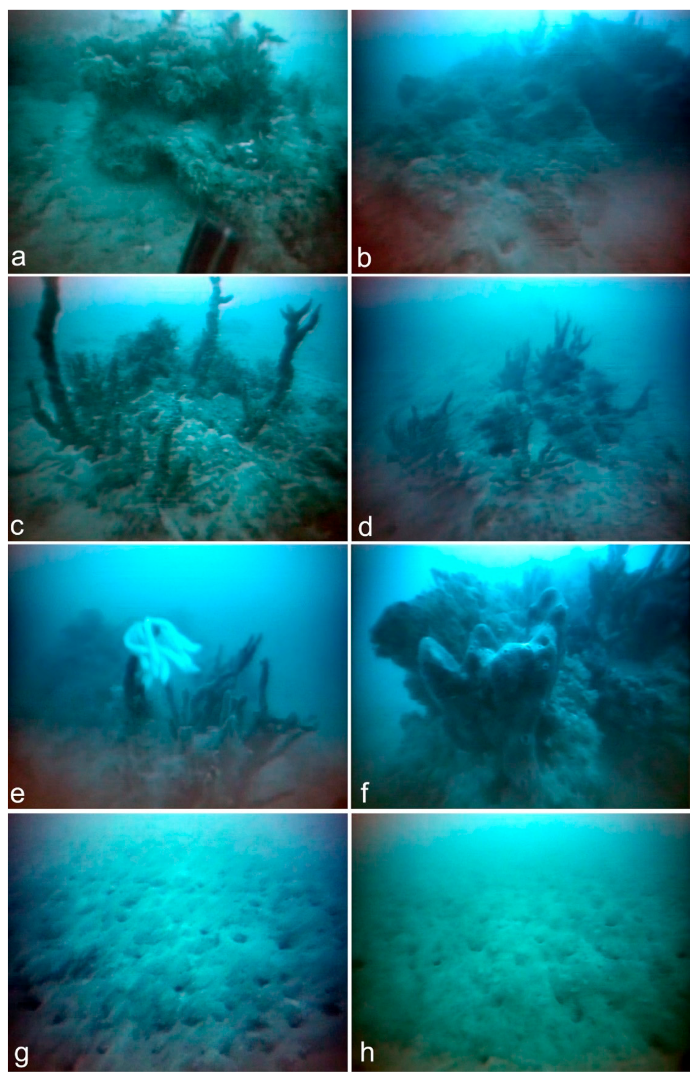 Remotesensing 13 03292 g007