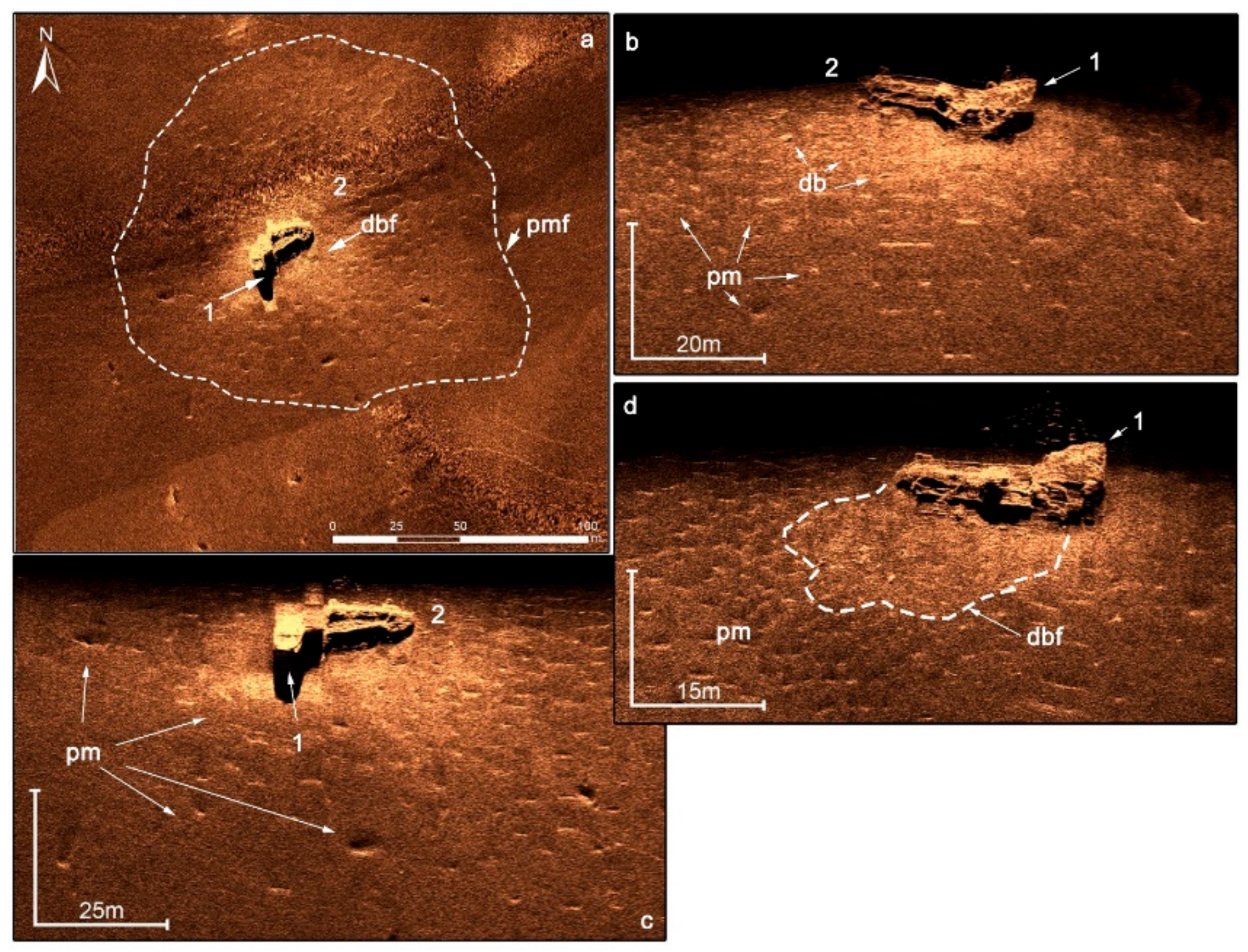 Remotesensing 13 03292 g009