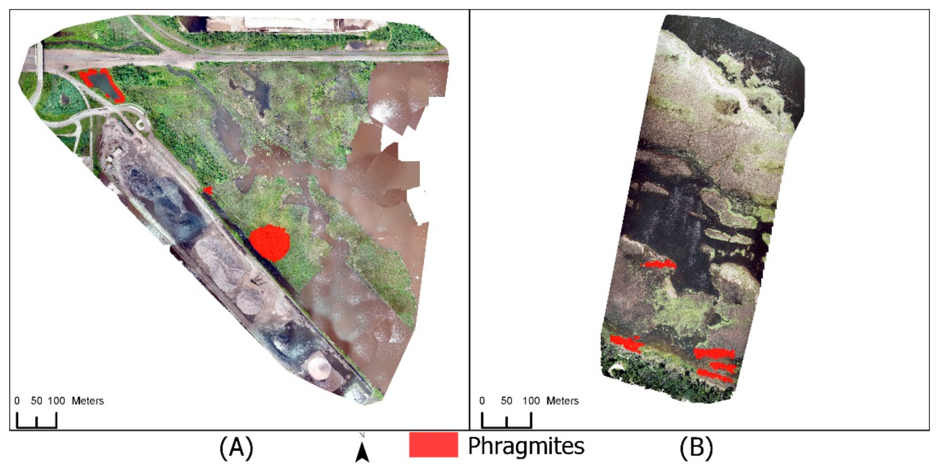 Remotesensing 13 03303 g003