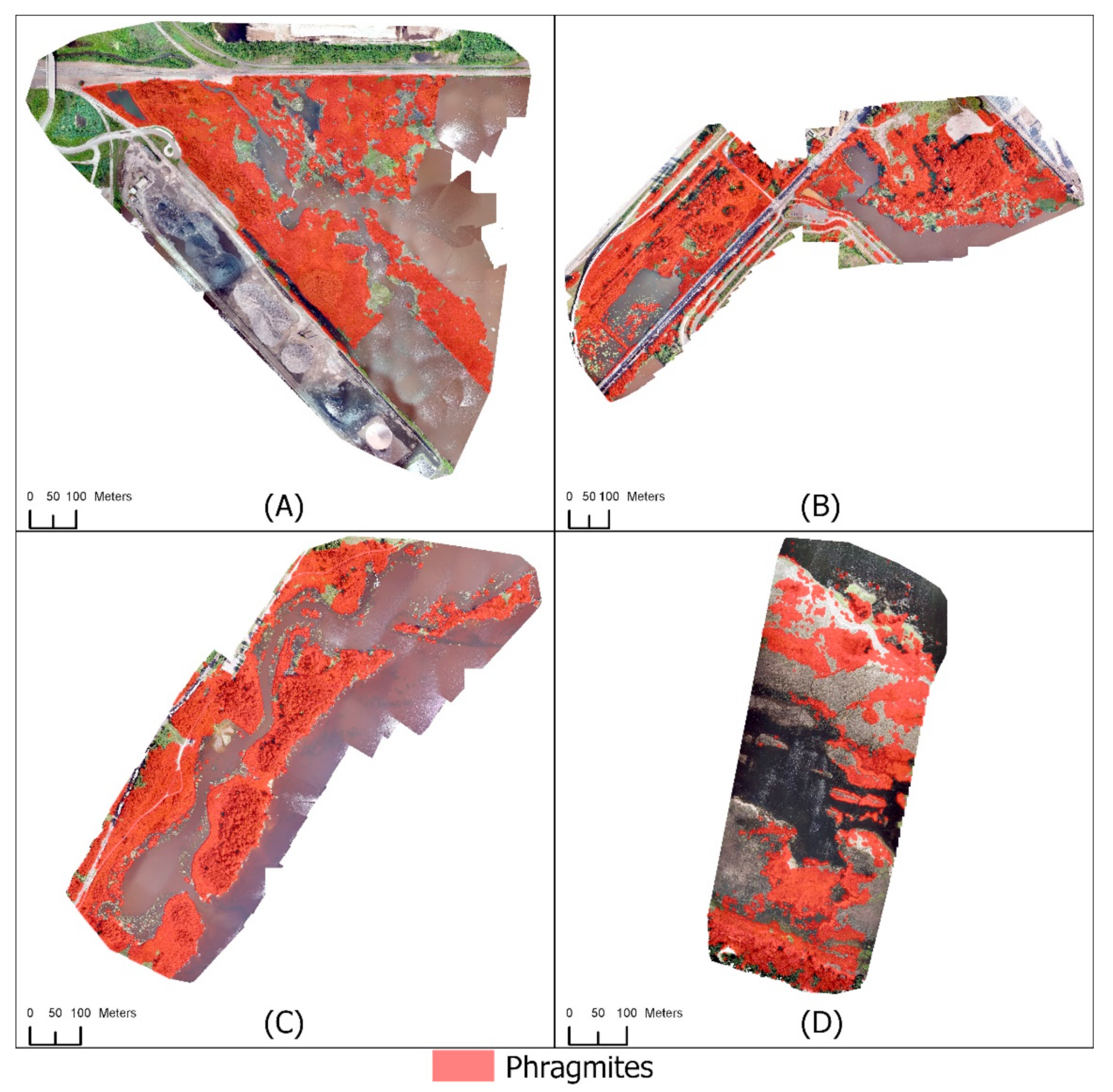 Remotesensing 13 03303 g005