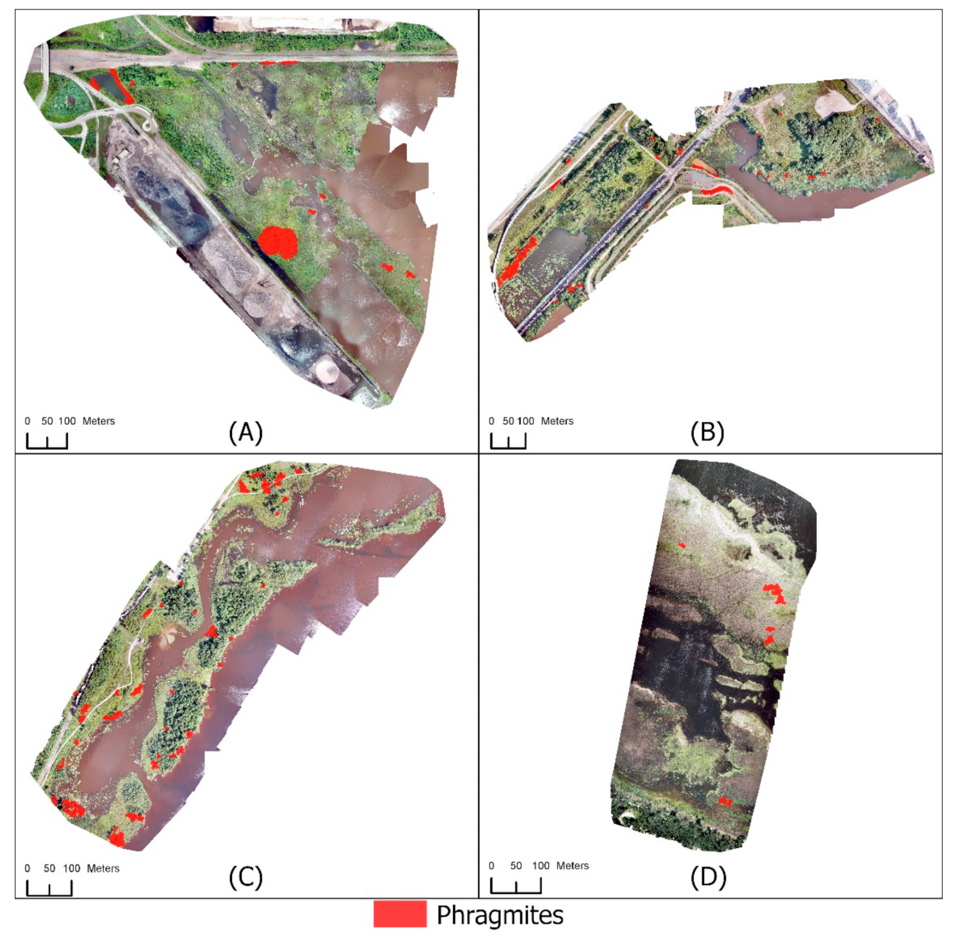 Remotesensing 13 03303 g006