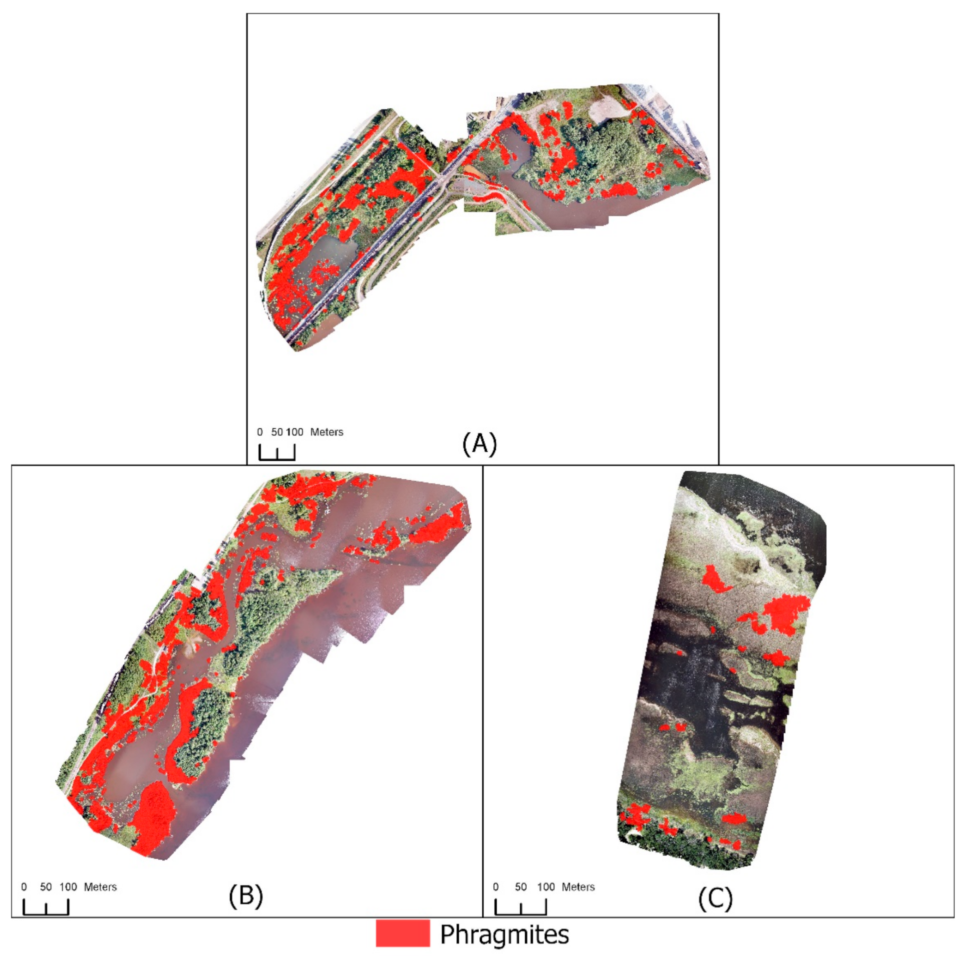 Remotesensing 13 03303 g007