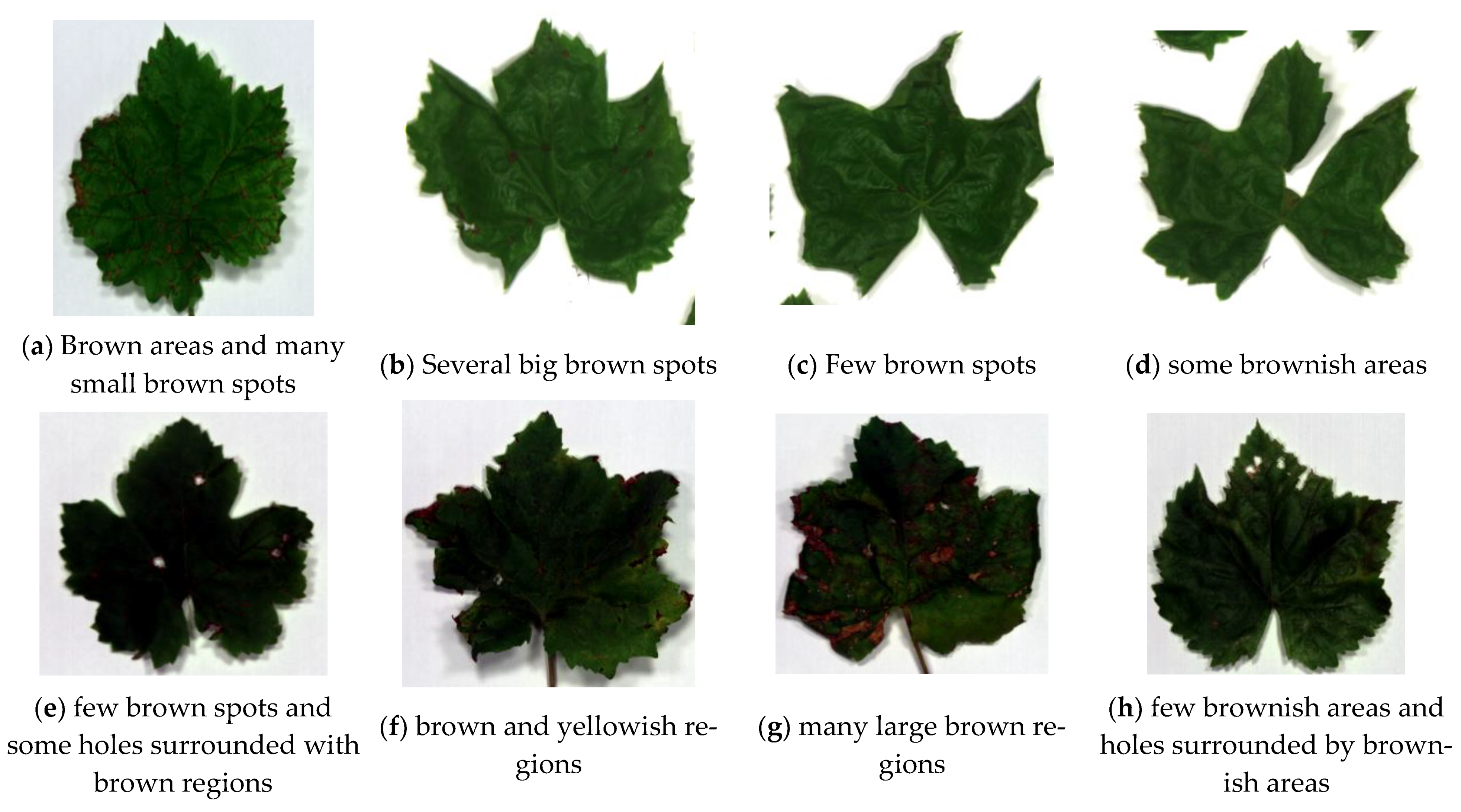 Remotesensing 13 03317 g004