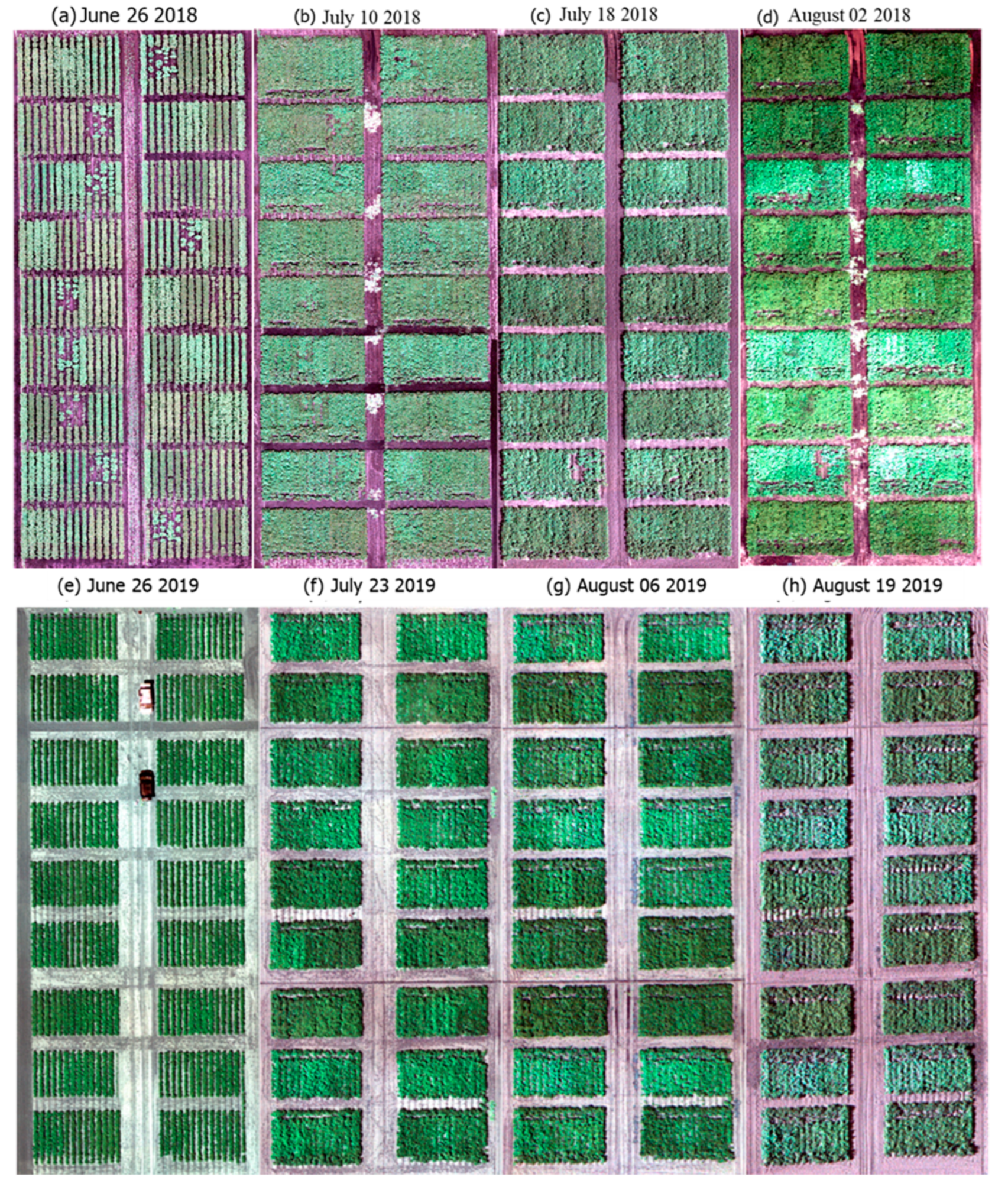 Remotesensing 13 03322 g002