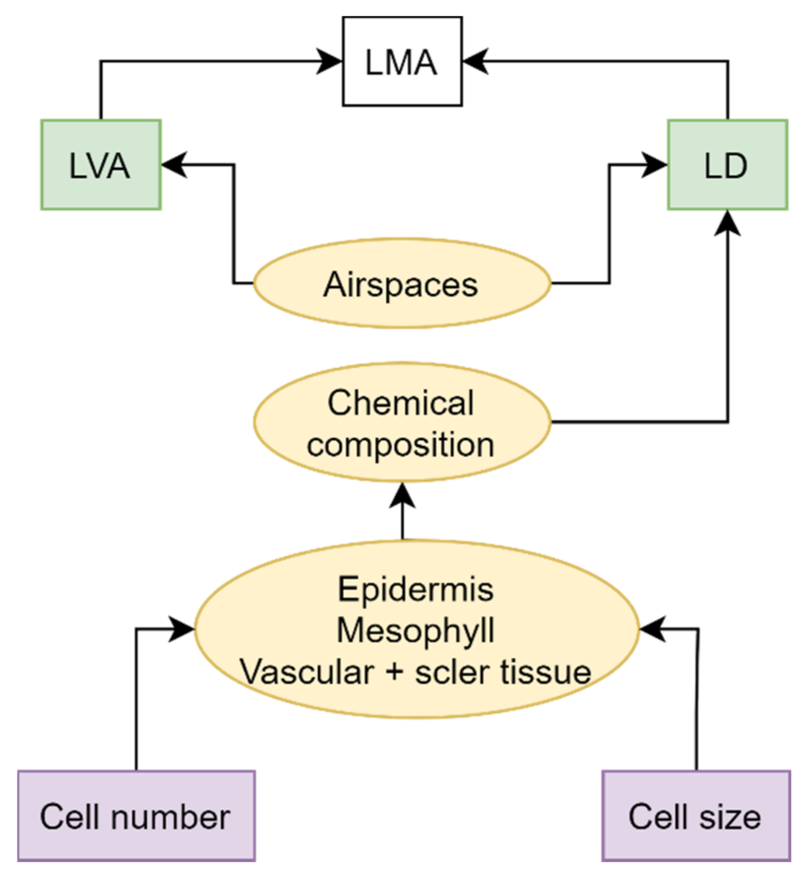 Remotesensing 13 03352 g001