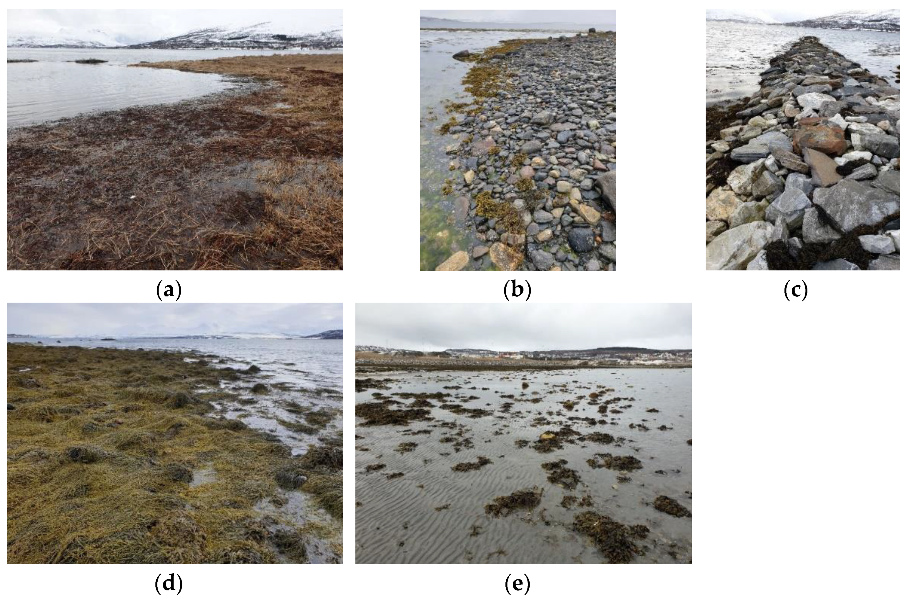 Remotesensing 13 03354 g009